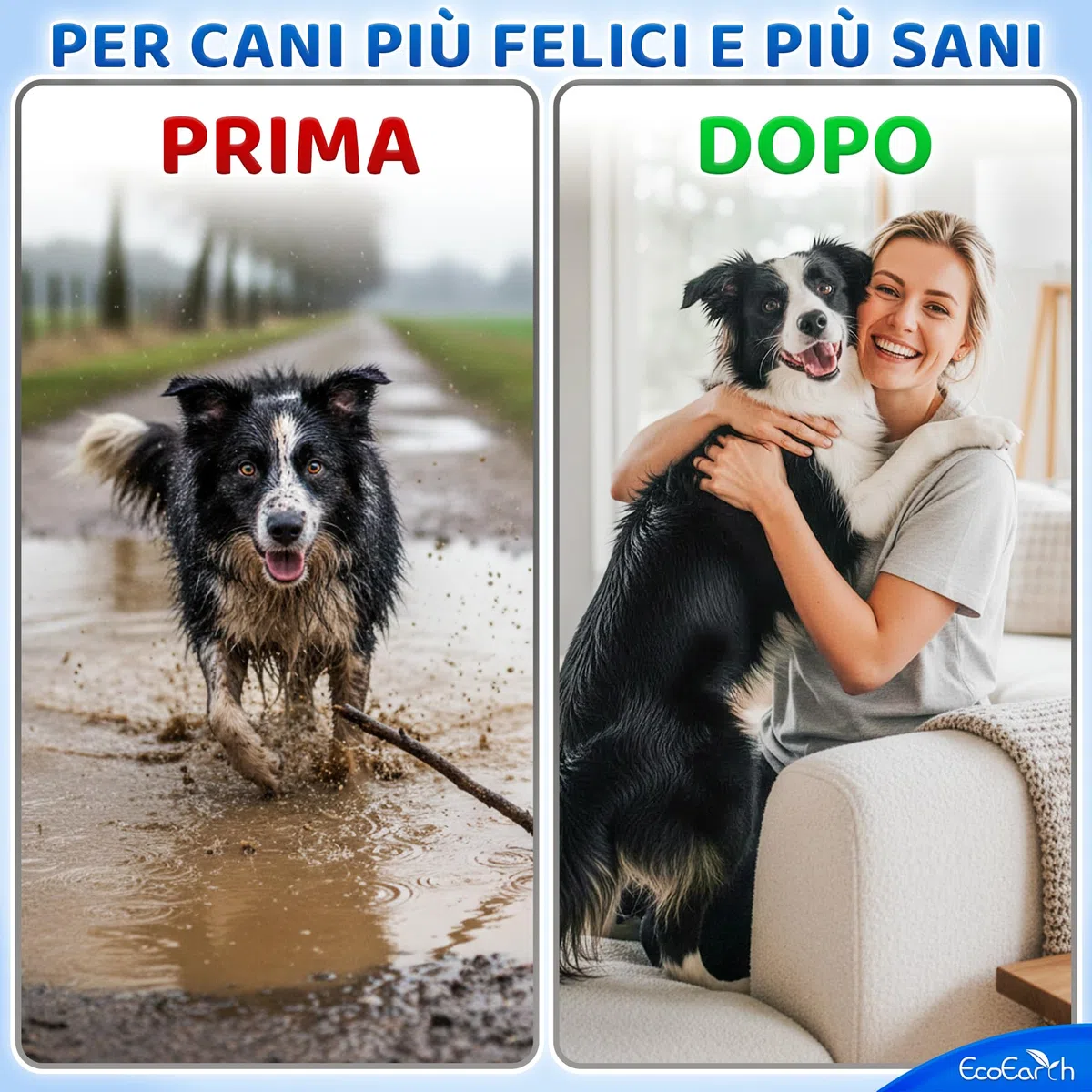 EcoEarth Guanti Premium per la Pulizia di Cani e Gatti - 2 Sacchetti da 20 Pezzi ciascuno - Guanti Monouso per Il Bagnetto, la Deodorazione e la Toelettatura - Guanti da Bagno per Cani