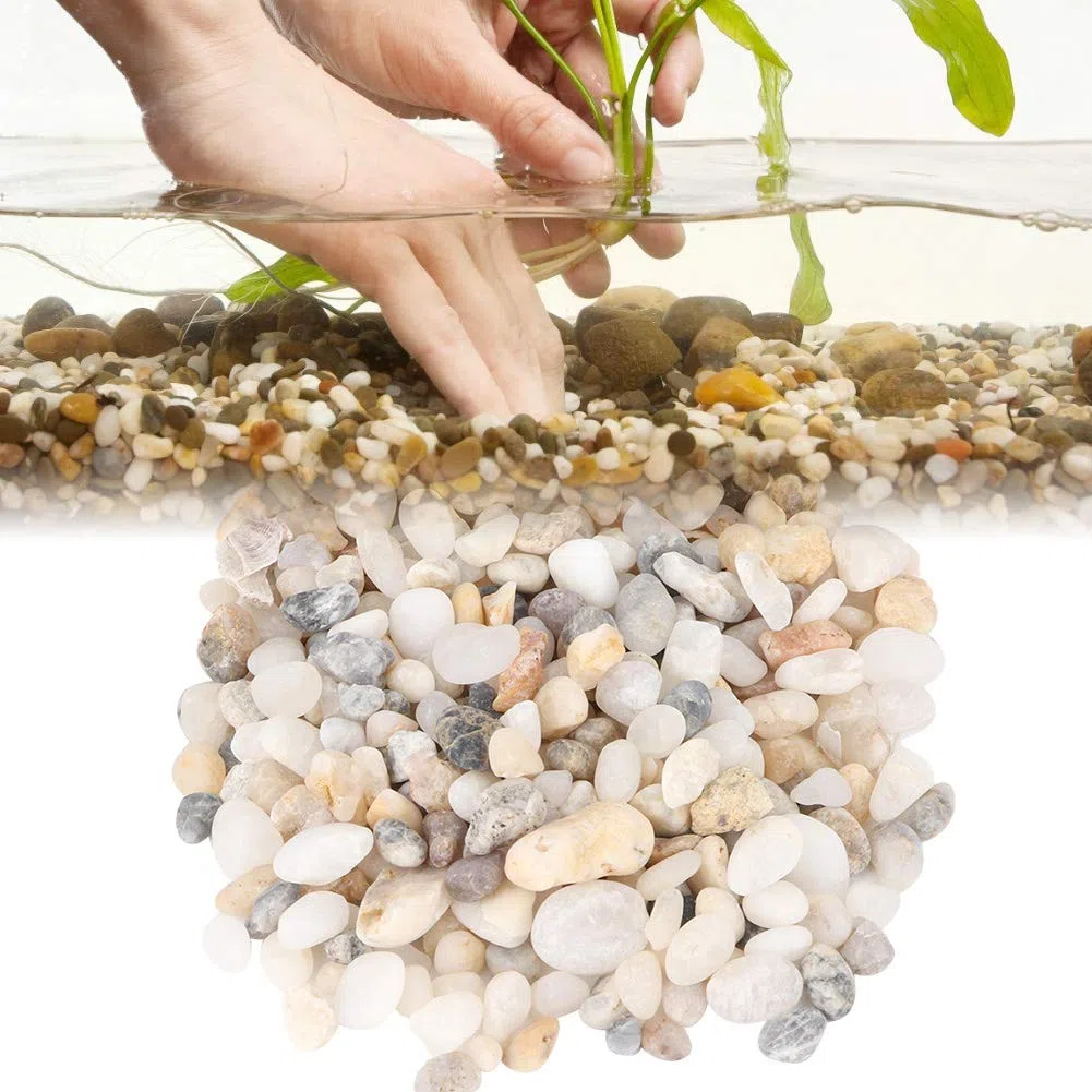Jenngaoo Sabbia per Acquario, Pietra di Sabbia Naturale Ghiaia Decorazione Paesaggistica Serbatoio per Tartarughe Sabbia di Fondo per Acquario Vaso di Fiori Accessori per Riempitivi di Acqua Dolce