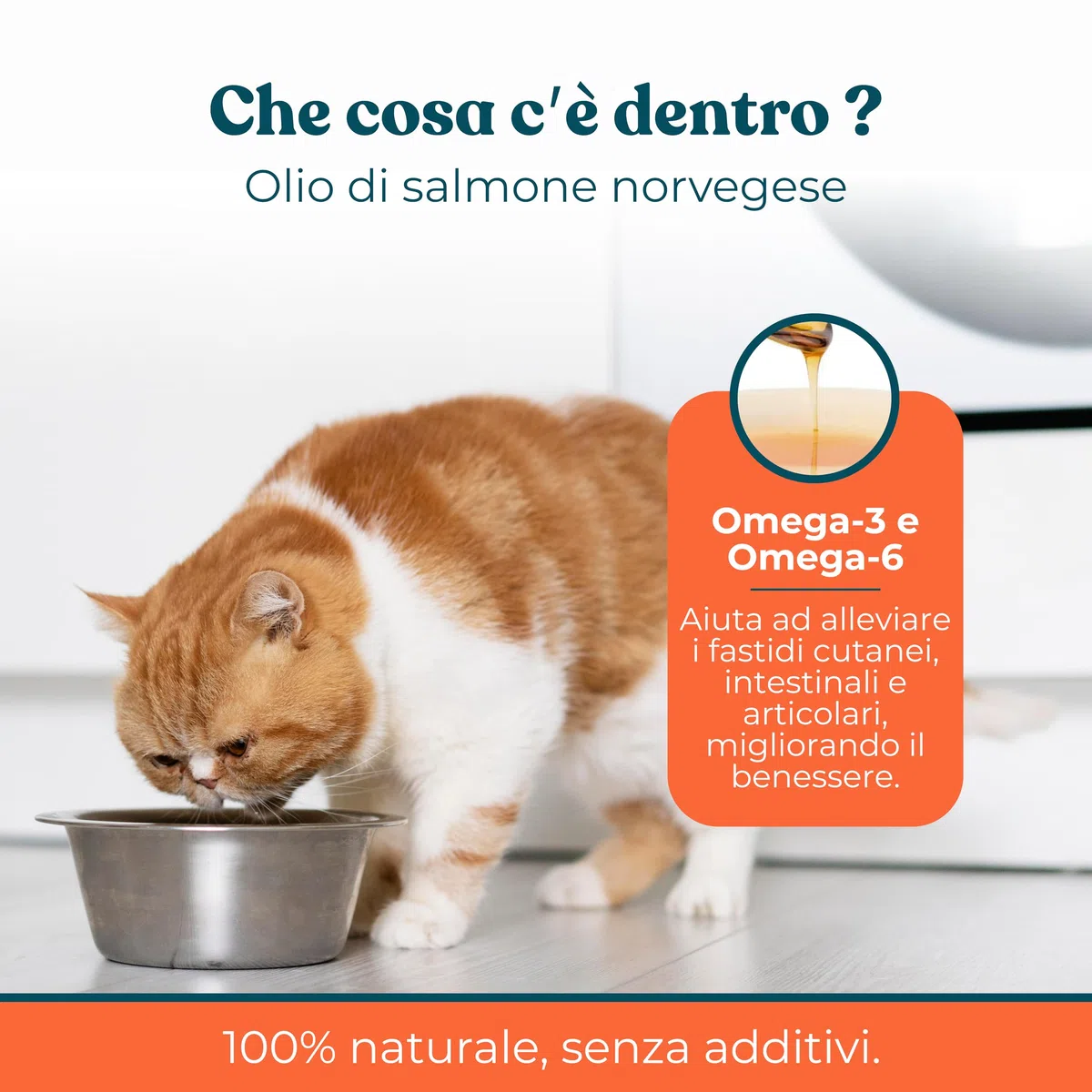 Olio di Salmone per Cani e Gatti 500 ml - Integratore Naturale Omega 3 e 6 per Pelo, Articolazioni e Sistema Immunitario