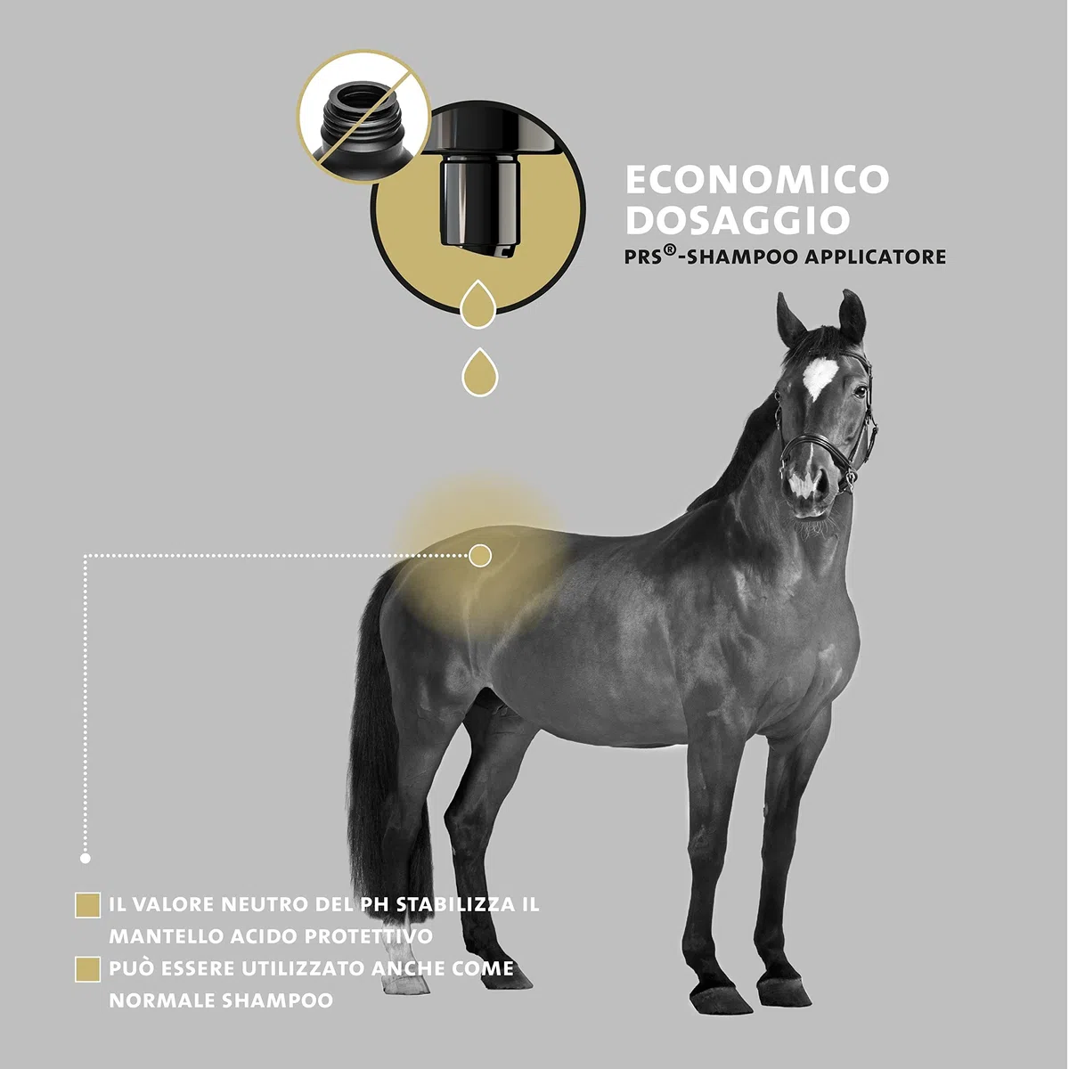 Peticare Shampoo Cavalli Prurito e Acari – Scudo Cura Immediata per Parassiti – Senza Insetticidi – con Eucalipto e Proteine della Seta – Shampoo Lenitivo