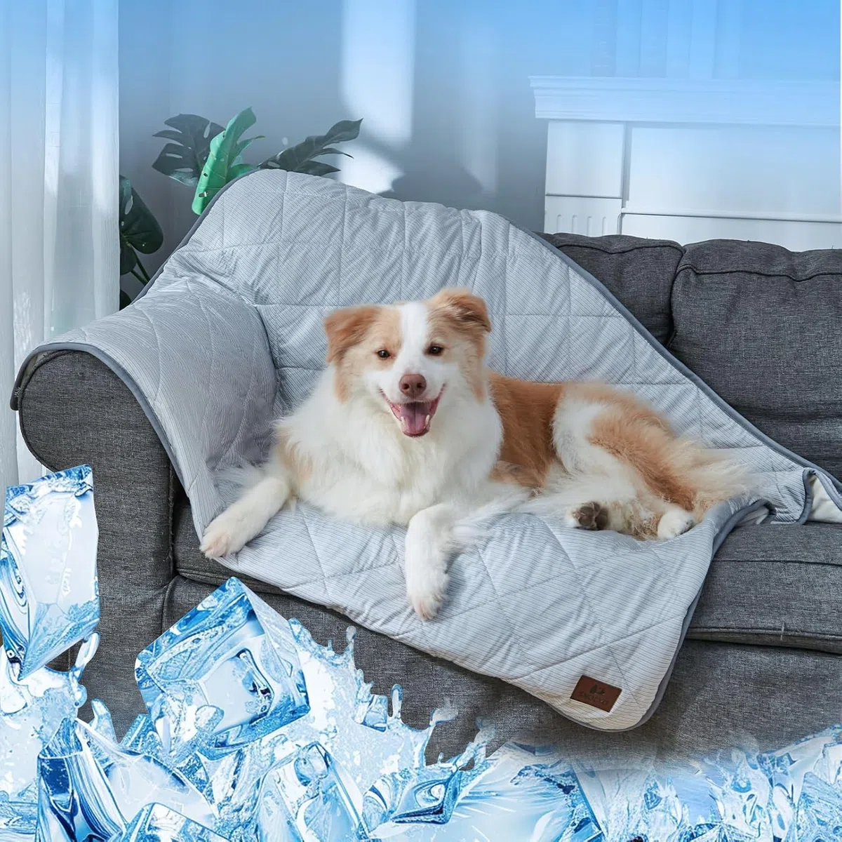 Coperta rinfrescante per cani lavabile e impermeabile, Q-MAX>0.4, 75×60 cm, doppia faccia rinfrescante e peluche, per divano e cani di piccola taglia