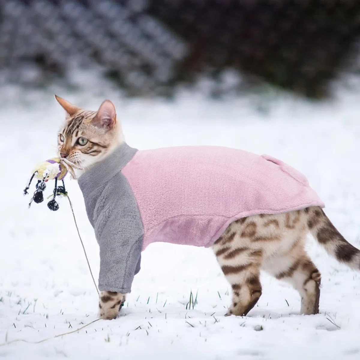 Maglione a collo alto, giacca in pile, gilet per gatti, caldo, abbigliamento per gatti senza peli, pullover, giacca di flanella, rosa, L