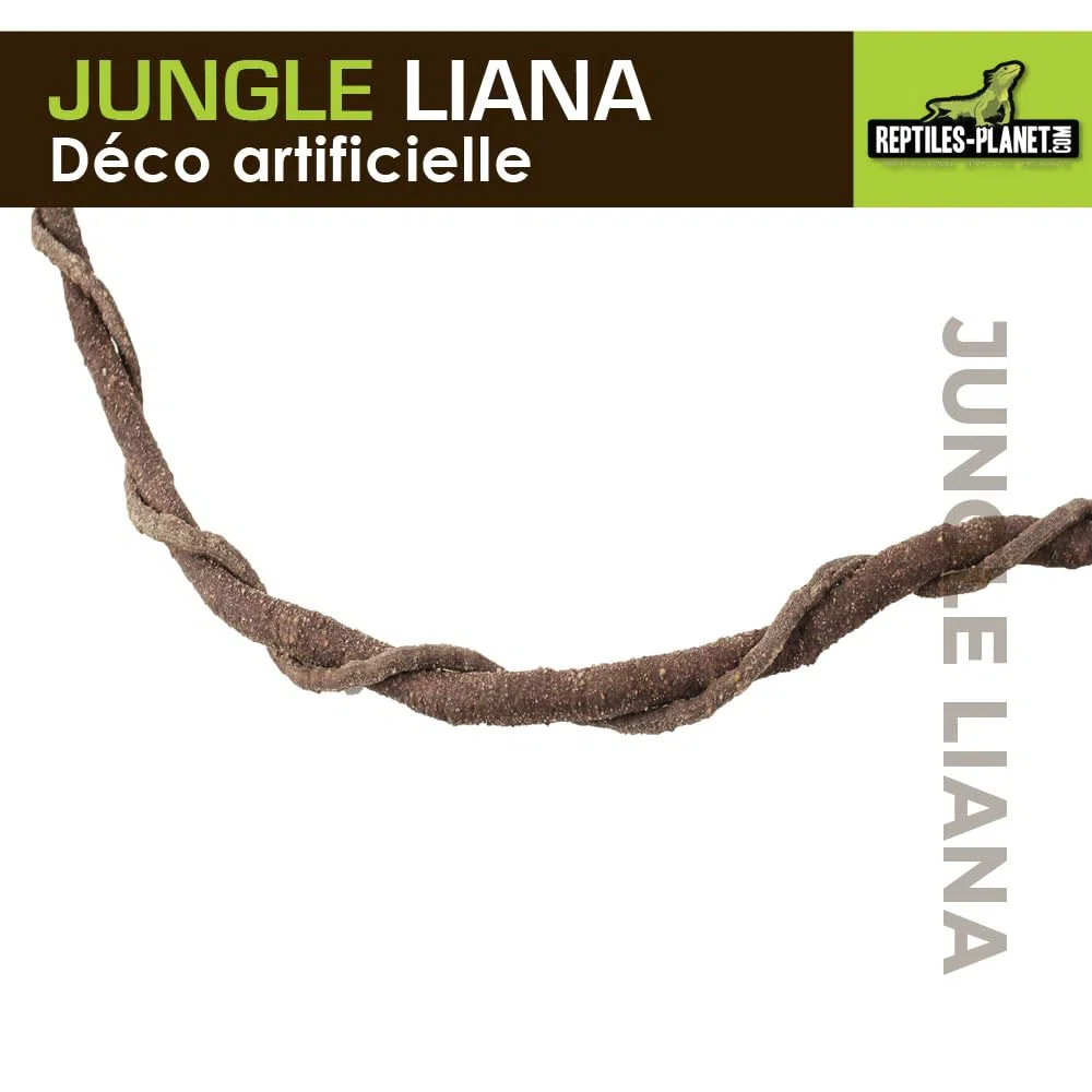 Reptiles Planet - Giungla Liana - Liana Artificiale - Decorazione per Terrario - 1 m