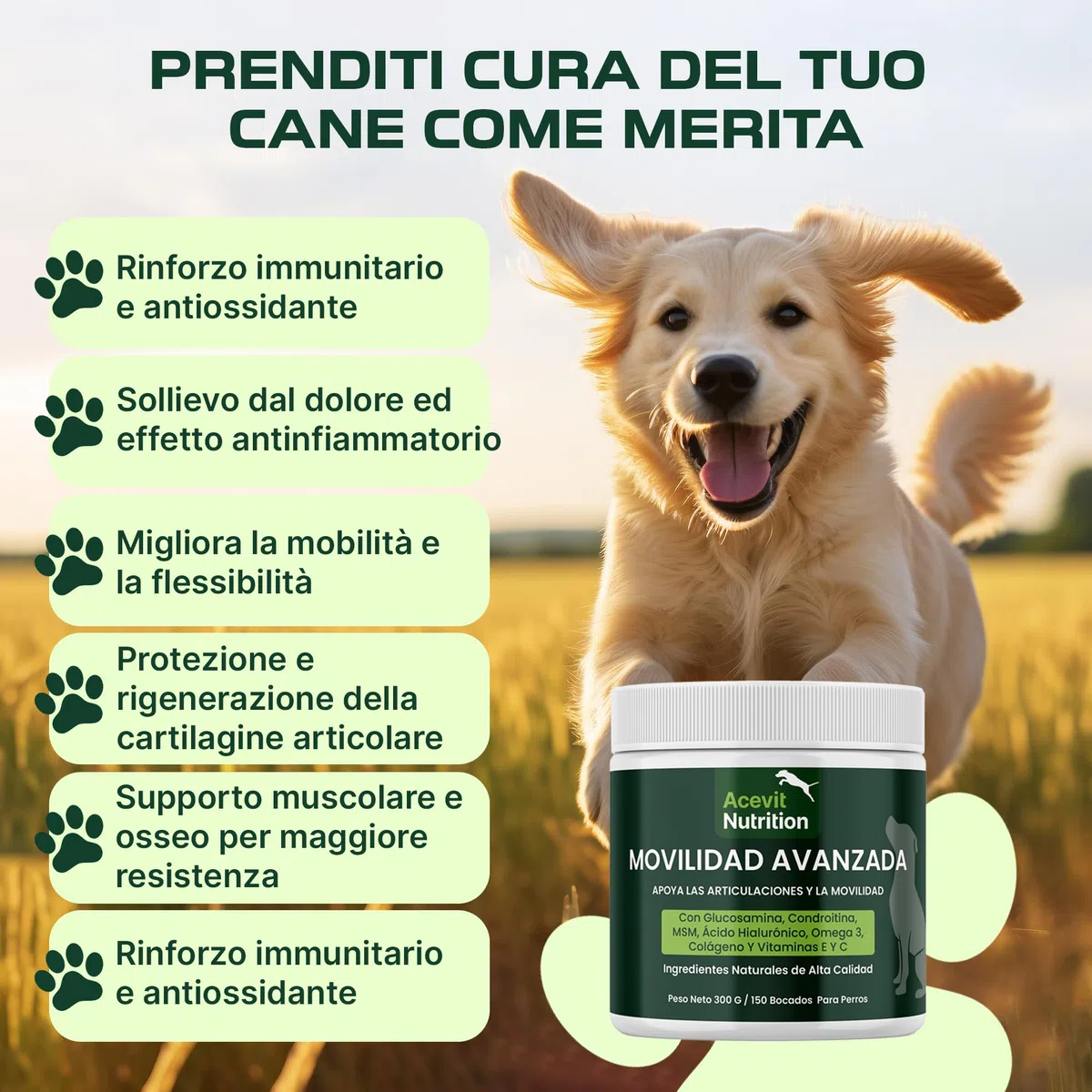 Integratore Articolazioni Cane 150 Bocconcini 100% Naturali, Condroprotettore con Glucosamina, Condroitina, MSM, Acido Ialuronico e Collagene – Antinfiammatorio che Migliora Mobilità e Cartilagini