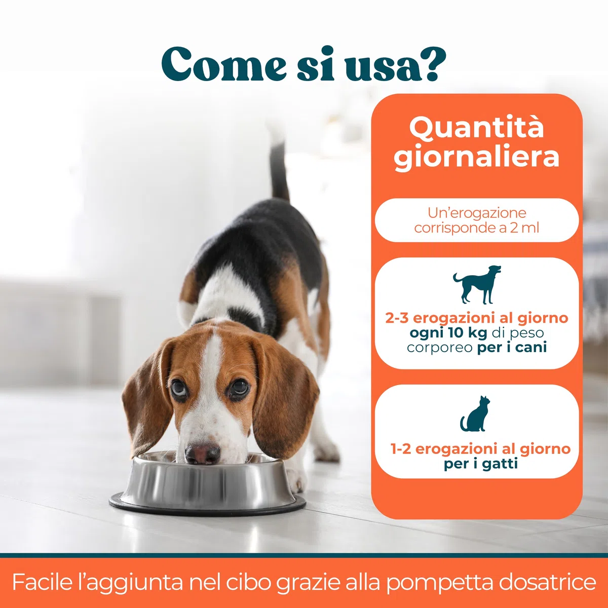 Olio di Salmone per Cani e Gatti 500 ml - Integratore Naturale Omega 3 e 6 per Pelo, Articolazioni e Sistema Immunitario