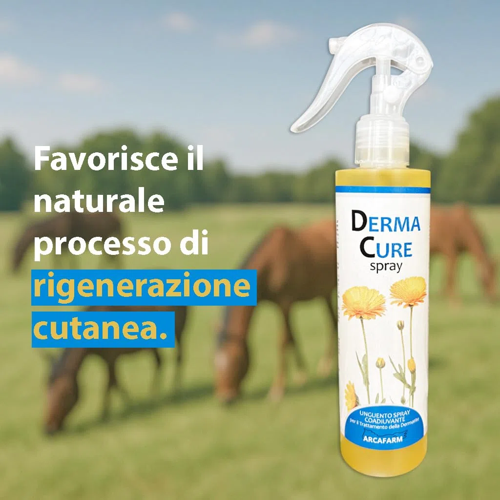 Spray Dermatite Cavalli DermaCure Arcafarm 250 ml - Trattamento Naturale per eczemi, irritazione pelle, arrossamenti, dermatite estiva recidivante cavallo, prurito cute - supporto per ricrescita pelo