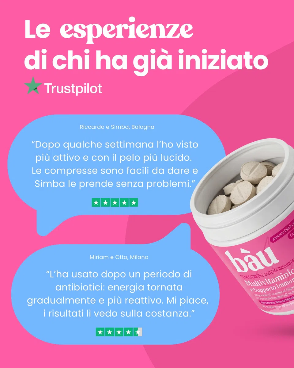 Bau Vitamine Cane per Supporto Immunitario in Compresse, Multivitaminico Difese Immunitarie, Energia e Recupero, Vitamine Cani per Dieta BARF, Post-Convalescenza, Vitamine per Cani Anziani -60cps