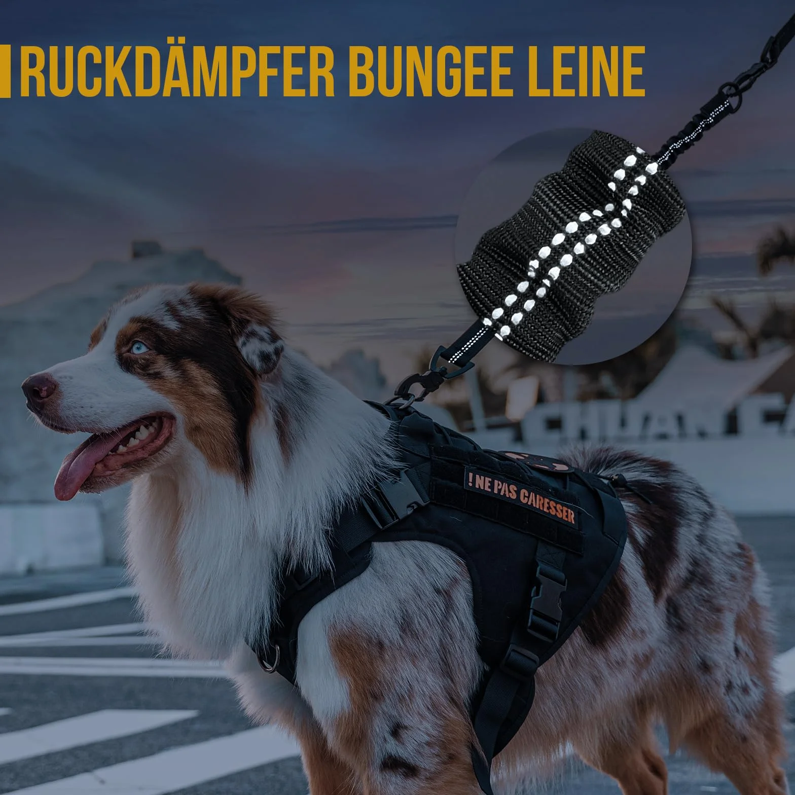OneTigris Ammortizzatore per cani, 51 cm, guinzaglio in nylon con denti di tigre, clip in metallo, estensione in lino, riflettente per passeggiate, ciclismo