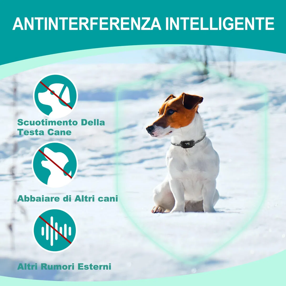Collare Antiabbaio per Cani Piccoli, Ricaricabile e Sicuro con 7 Sensibilità, 3 Modalità Regolabili Beep e Vibrazione, Impermeabile IP67, Nero