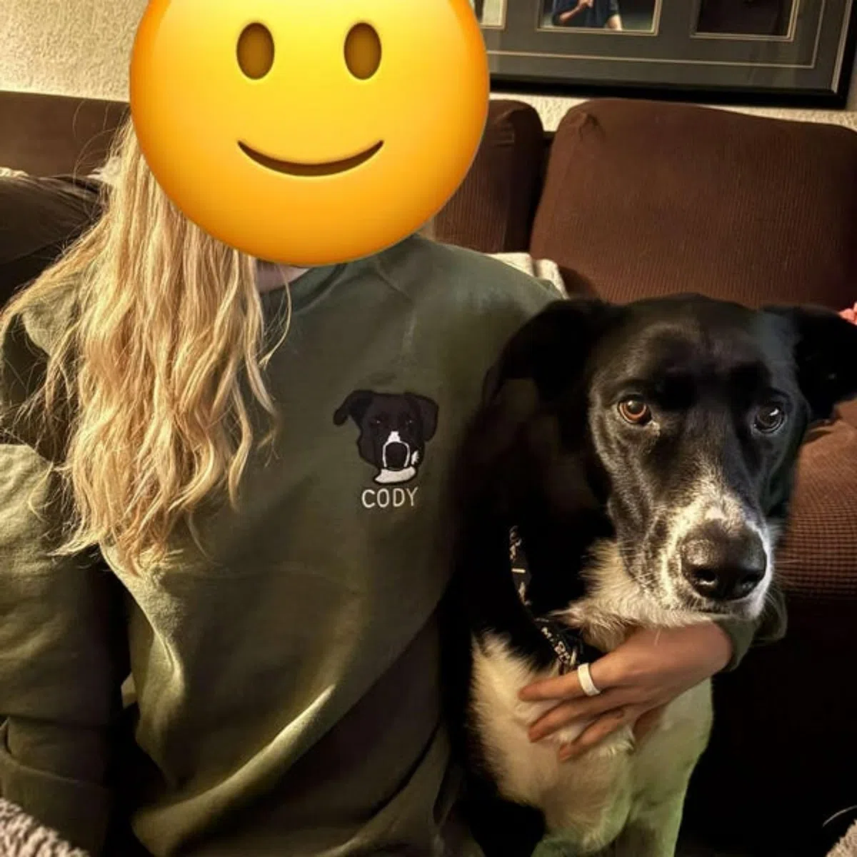 Felpa con cappuccio personalizzata ricamata con viso animale, Felpa con foto di cane, Felpa con cappuccio personalizzata ricamata per animali, Regalo per papà di cane, Maglietta