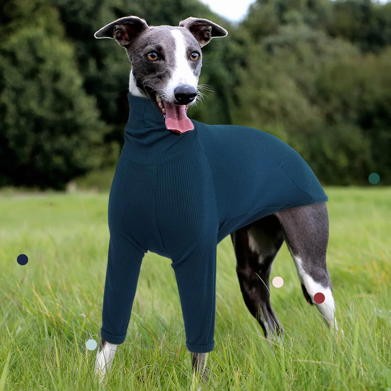 IECOii Maglione Whippet, maglione a collo alto levrieri per cani di piccola taglia, felpa per levrieri italiani, tuta per cani per Lurcher, pigiama leggero e accogliente per levrieri elasticizzato per