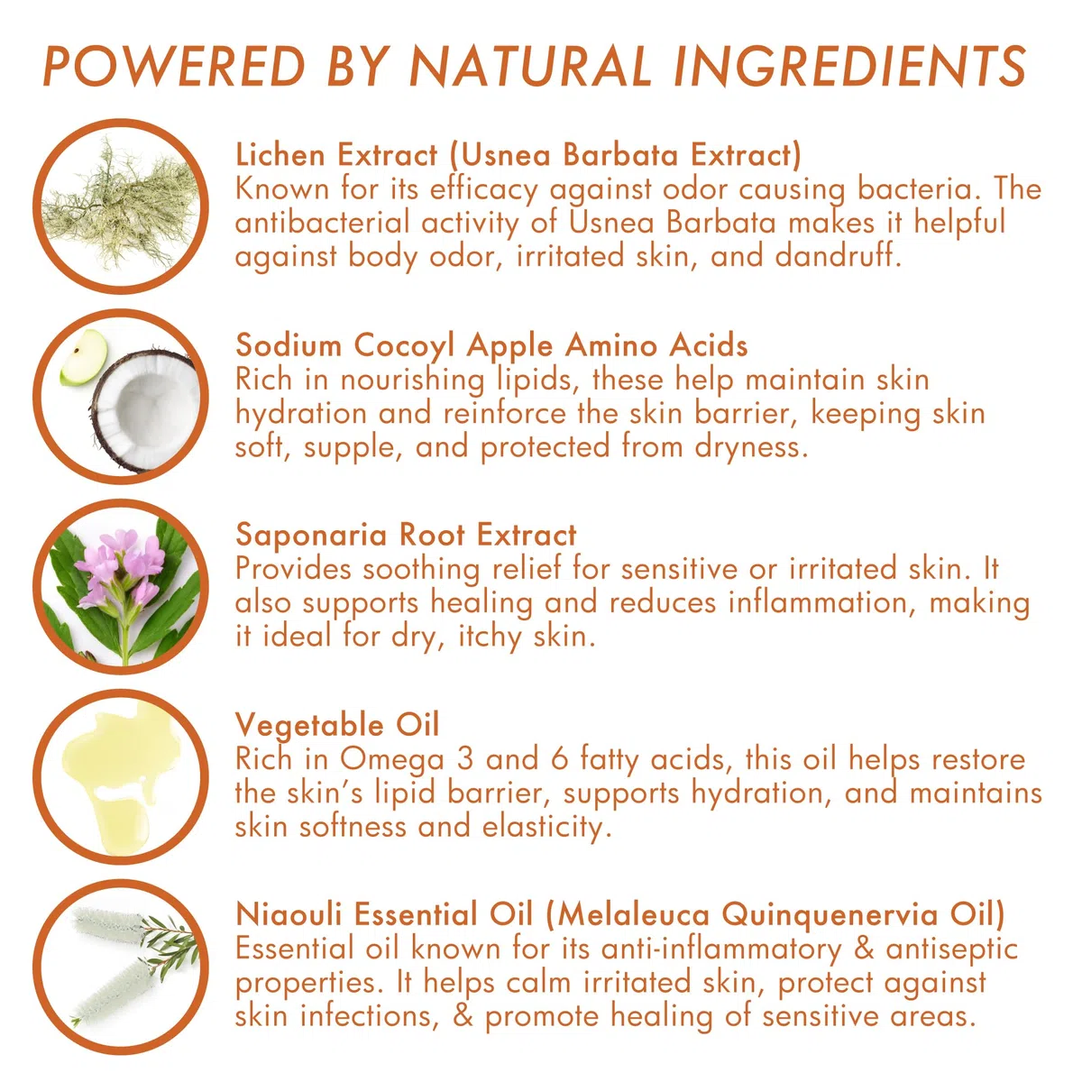 Dermoscent Essential OTO - Detergente auricolare per cani, gatti e conigli | Formula naturale senza alcool | Elimina cerumen e odori, idrata e lenitiva, 100 ml