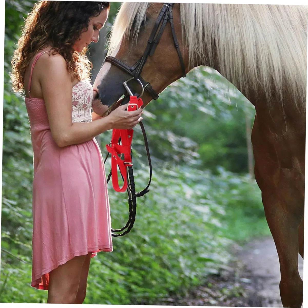 Generico Cavezza Per Asino Da Addestramento Equestre Per Cavezza Regolabile Per Cavezza Con Corda Per Cavezza Per Hobby Cavezza Per Grandi Cavezza Per