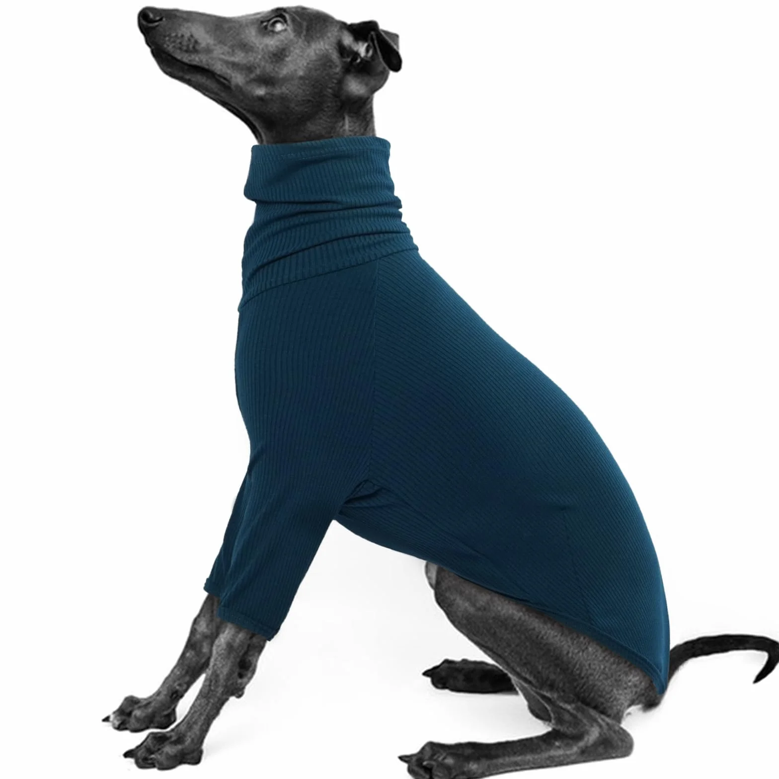 IECOii Maglione Whippet, maglione a collo alto levrieri per cani di piccola taglia, felpa per levrieri italiani, tuta per cani per Lurcher, pigiama leggero e accogliente per levrieri elasticizzato per