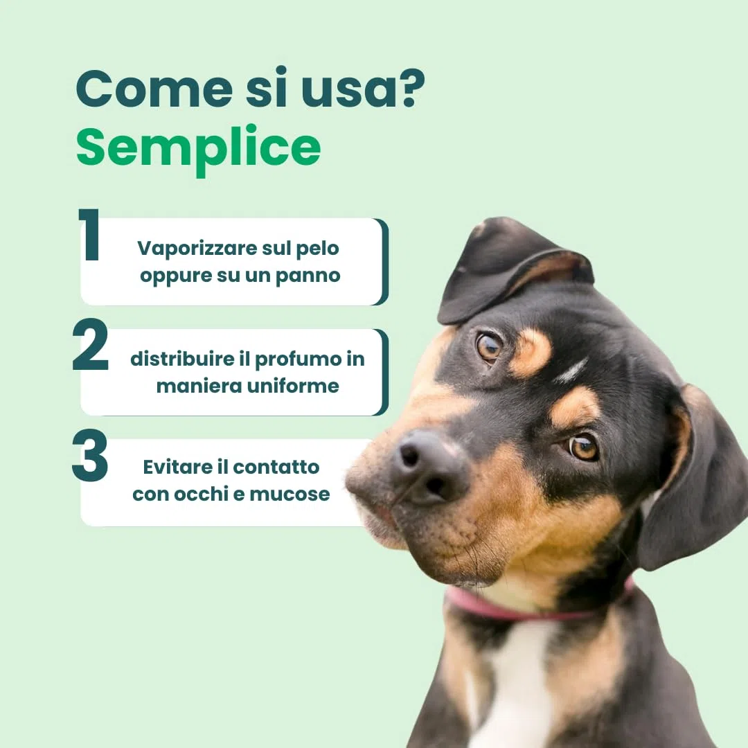 Profumo per cani lunga durata con olio di neem, timo e argan 150ml, profumo cane naturale a ph neutro sicuro anche per cuccioli, profumo cani professionale - Made in italy