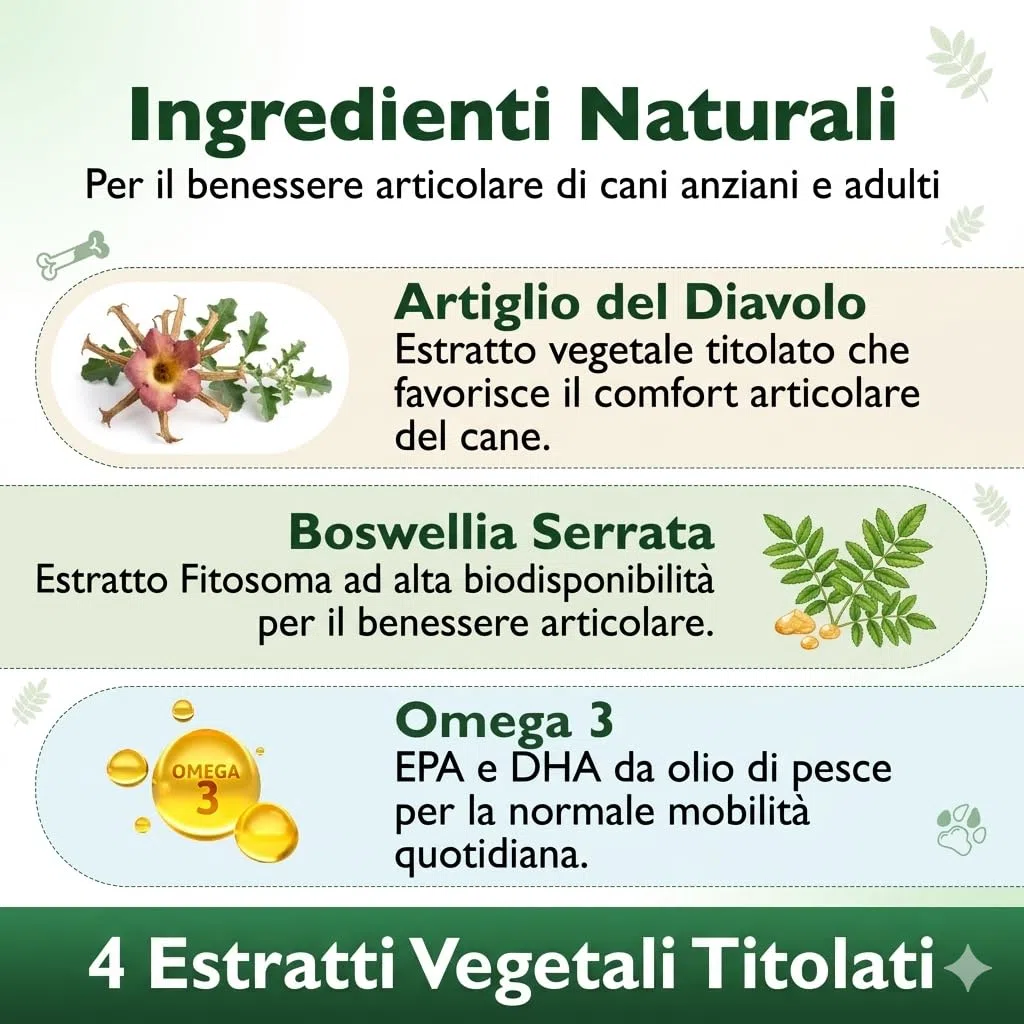 FloraPet Integratore Articolazioni Cane Anziano e Adulto, Formula Vegetale con Artiglio del Diavolo, Boswellia, Curcuma, PEA e Omega 3, Ossa e Mobilità, 60 Compresse Made in Italy
