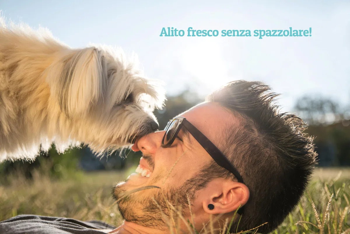 Additivo per Acqua per l'igiene Orale di Cani e Gatti | Alito frescho e Denti sani - Aiuta a prevenire placca e tartaro - 500ml (Classic)