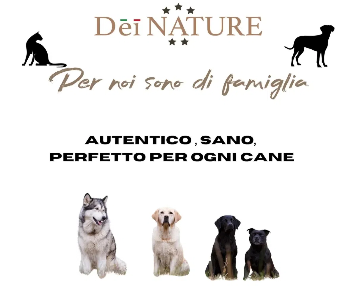 Pelle di Cavallo Essiccata per Cani, Strisce da 15 cm, Confezione da 500 Grammi, Masticativo Naturale per Pulizia Denti