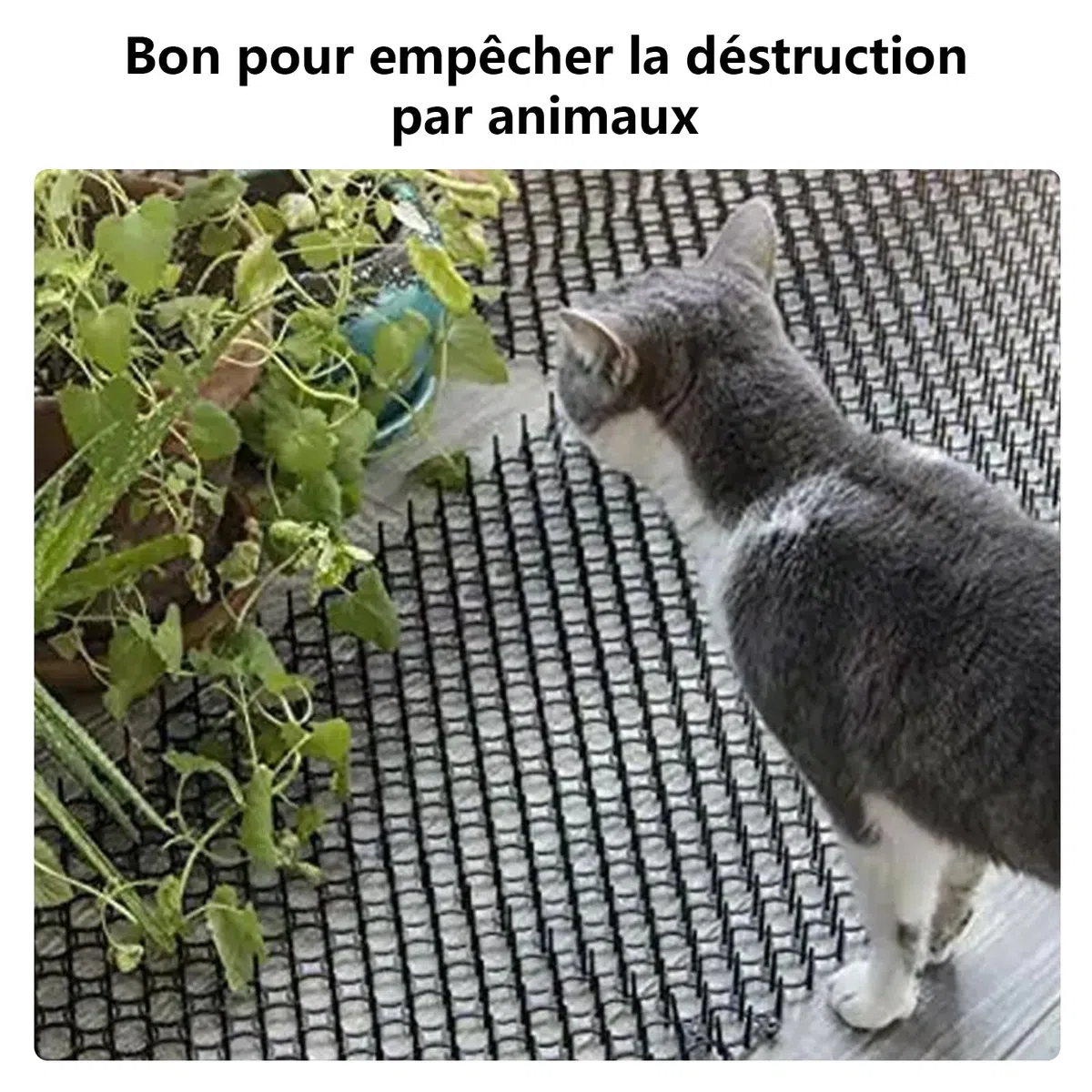 JMIATRY 16 Pezzi Tappetino Repellente per Gatti 20x40CM, Dissuasore per Gatti, Plastica Tappetino Anti Gatto, Anti Gatto Giardino