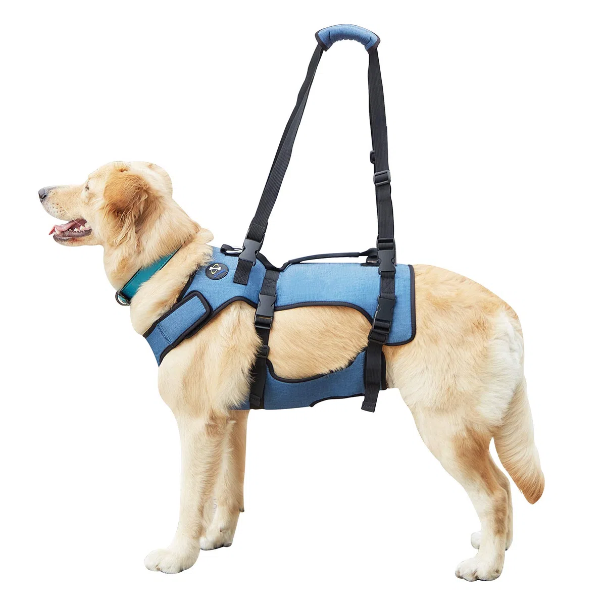 COODEO Imbracatura Sollevamento Cani, Supporto Integrale & Fascia Riabilitazione con Spalline Regolabili/Traspiranti per Cani Anziani, Disabili, con Artrite, Paralisi o Problemi Articolari (blu,M)