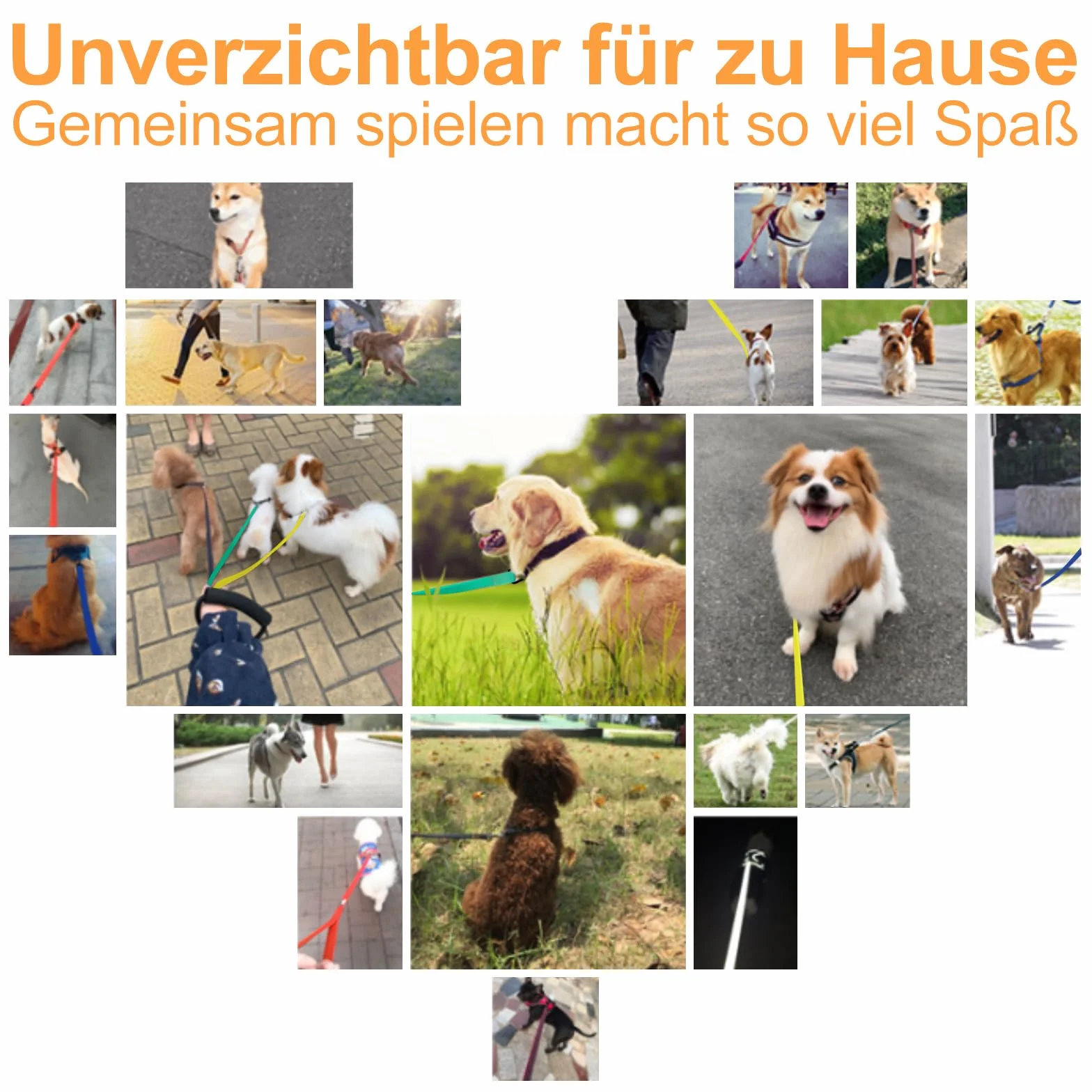 Guinzaglio impermeabile per cani, 3 m/5 m/10 m/15 m, guinzaglio antistrappo, guinzaglio per cani di taglia grande e piccola (arancione, 10 m)