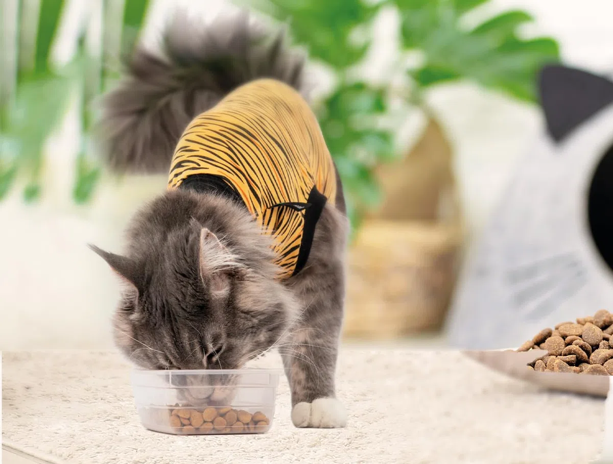Suitical Recovery Suit for Cats – Tiger Print. Post Operative cat Cone Alternative. (X-Small (Neck to Tail: 15.7-17.7" / 40-45 cm), Tiger Print)