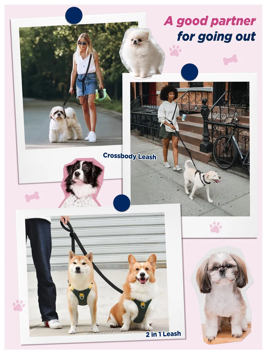 Guinzaglio per cani Hands-Free per tutte le taglie - 2,0-3,9 m, con doppia fibbia regolabile e maniglia imbottita per 1 o 2 cani di taglia media/grande, 8-50 kg, nero