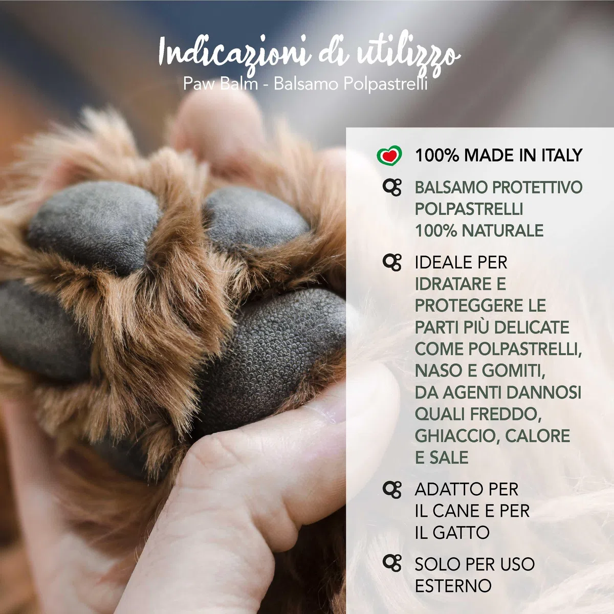 YUUP! - Paw Balm balsamo protettivo 100% naturale per naso, polpastrelli, zampe e gomiti di cani e gatti con burro di Karitè e di Mango, olio di Jojoba, Mandarla, Tea Tree e Calendula, 40 gr