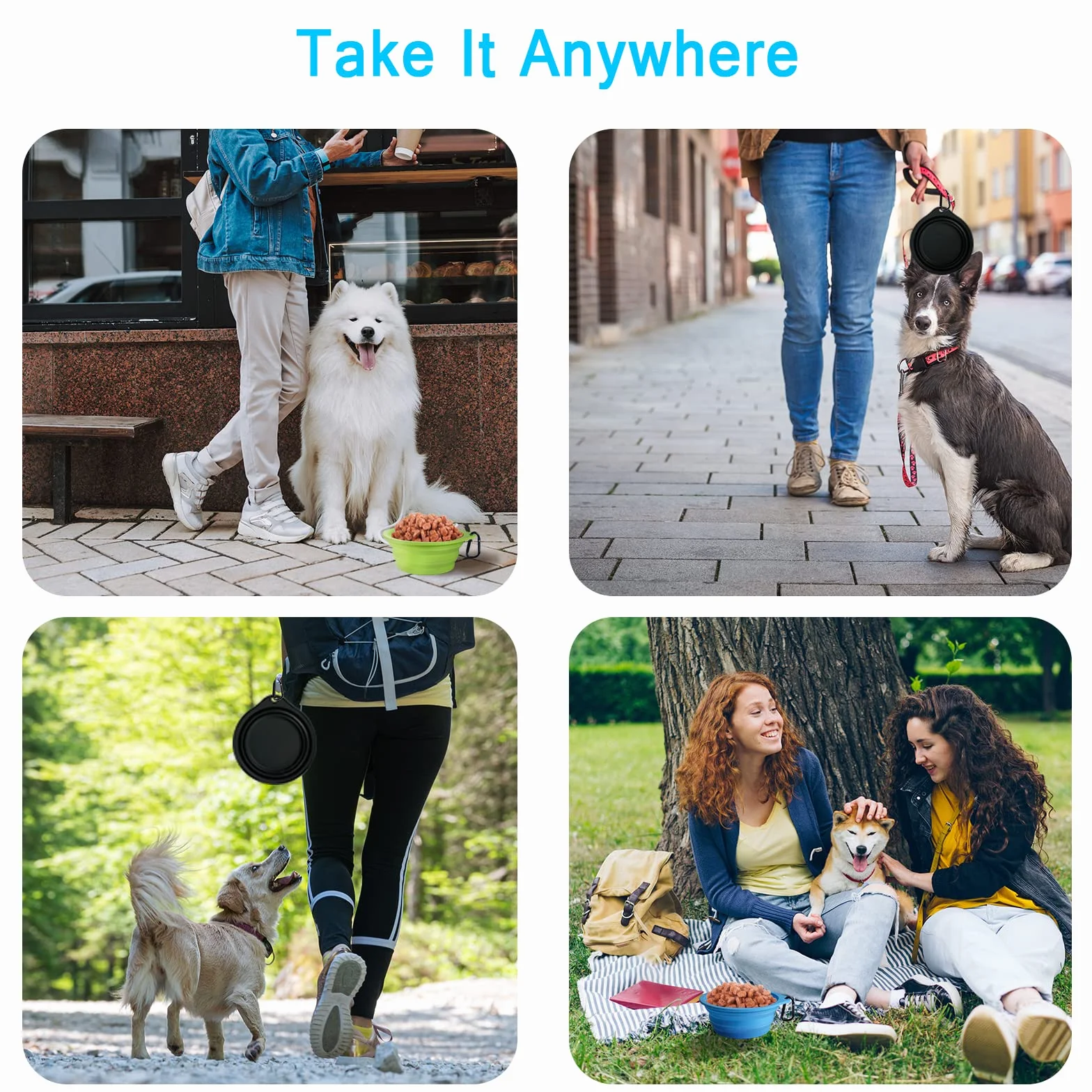 PetBonus Ciotole Pieghevole per Cani da Viaggio in Silicone, Ciotola da Viaggio Portatile con Moschettone, Piatto per Cibo e Acqua per Cani e Gatti, Lavabili in Lavastoviglie