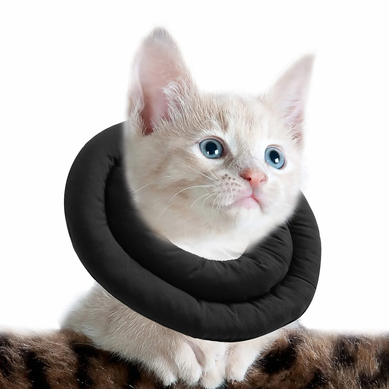 OHCOZZY Collare Elisabettiano Gatto, Collare a Cono per Gatti con Collo Regolabile, Collare Protettivo Gatto Antileccamento Dopo l'intervento Chirurgico (S, Nero)