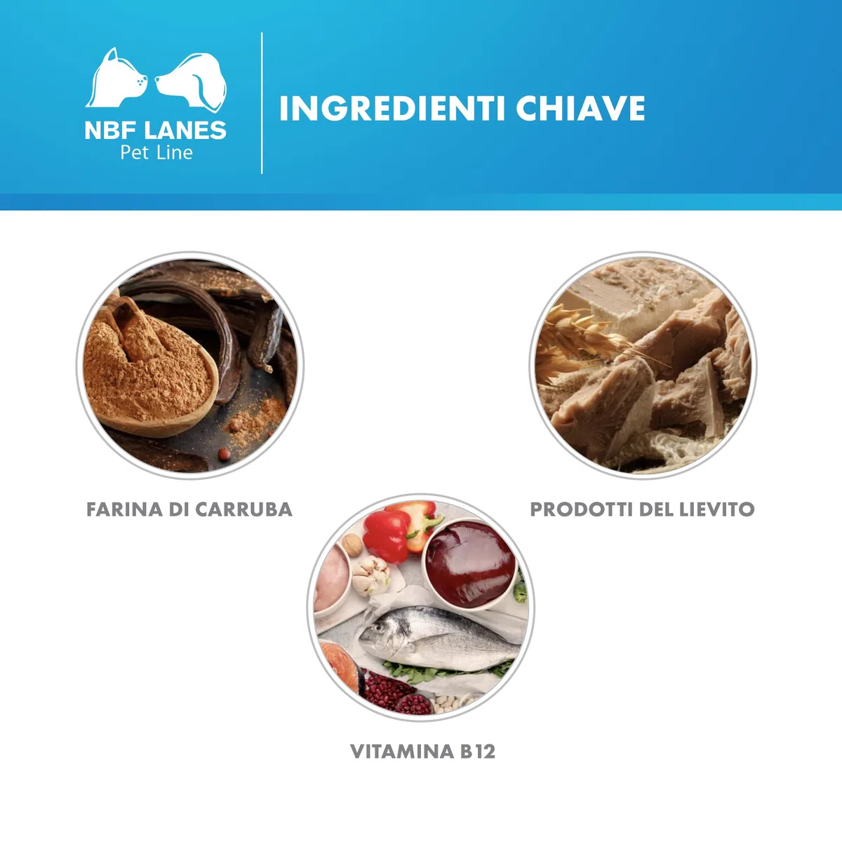 NBF Lanes | Carobin Pet Digest Cane e Gatto, Pasta Appetibile 30 g, per la Normale Funzione Digestiva Quotidiana e la Corretta Consistenza delle Feci