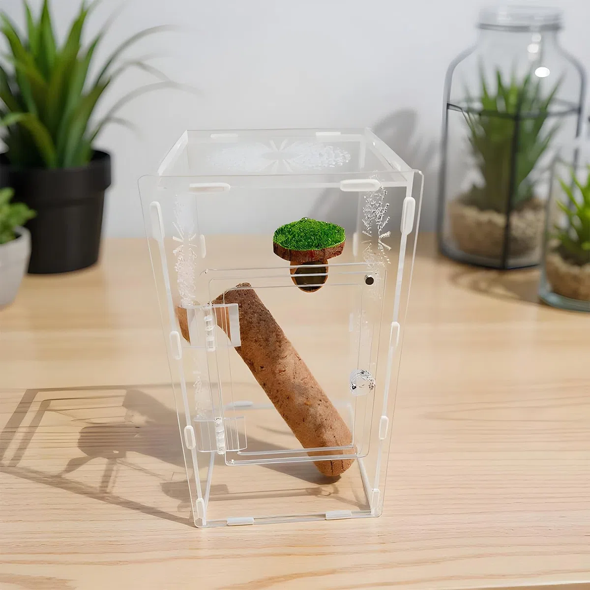 Habitat per ragni che saltano, terrario per piccoli rettili, 30 x 15 x 15 cm, recinzione completamente trasparente, design ventilato sicuro, dimensioni compatte, ideale per bambini, adulti