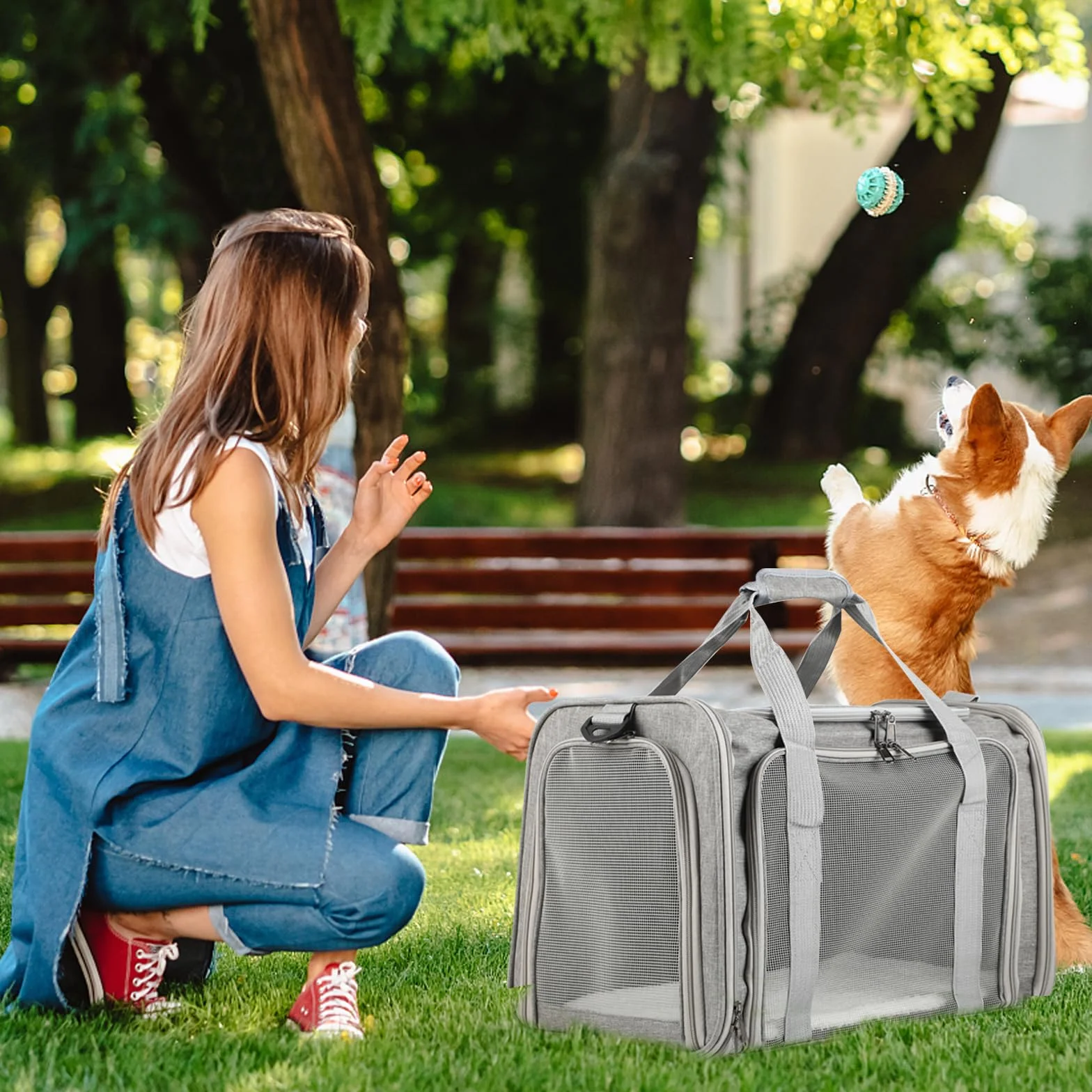 Trasportino Gatto Pieghevole – Borsa per Cani Leggera e Traspirante – Trasportino per Viaggi/Auto con Cintura Regolabile (Grigio)