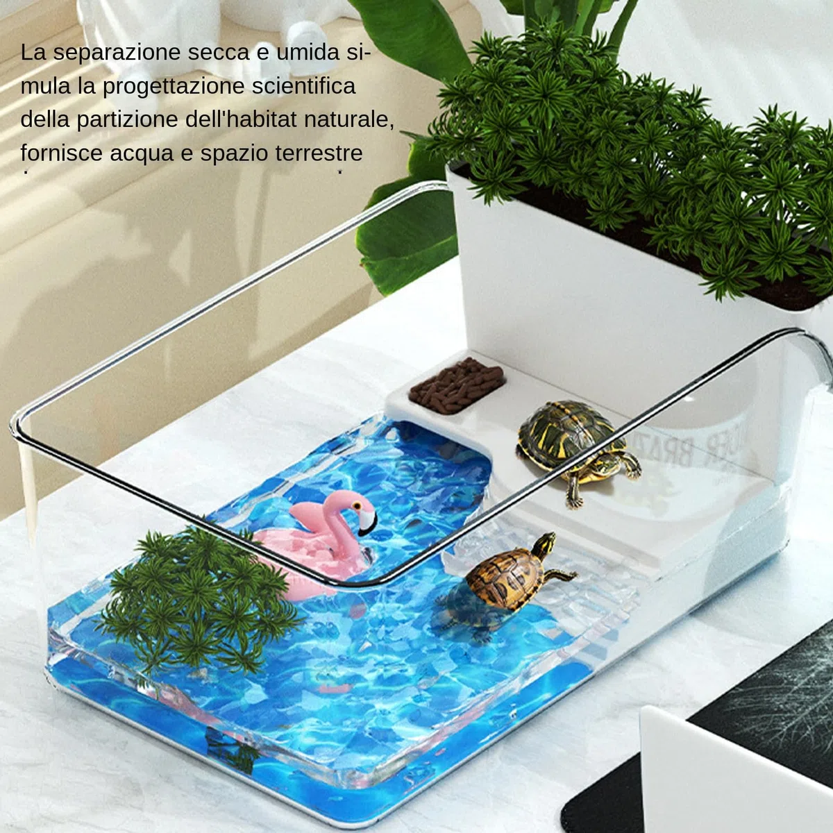 Acquario per Tartarughe | Riposo per Tartarughe,Acquario Per Tartarughe Per Scuole Casa Rifugi Animali Educatori Natura