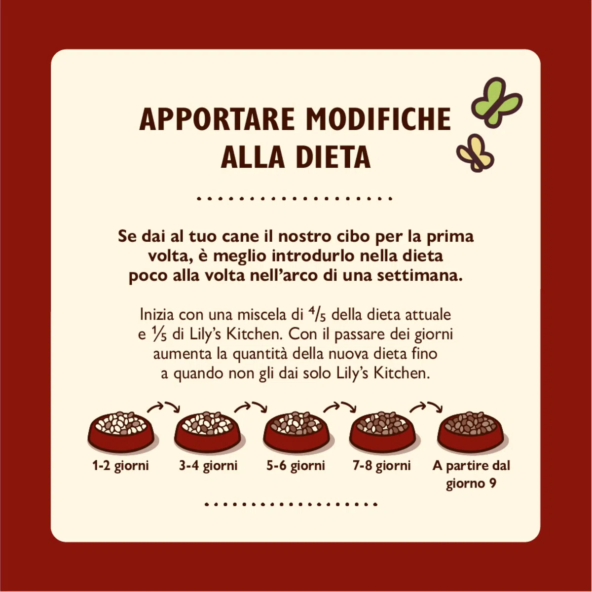 Lily's Kitchen Prodotto con ingredienti naturali Cibo umido per cani adulti Gulasch di manzo 6 x 400 g