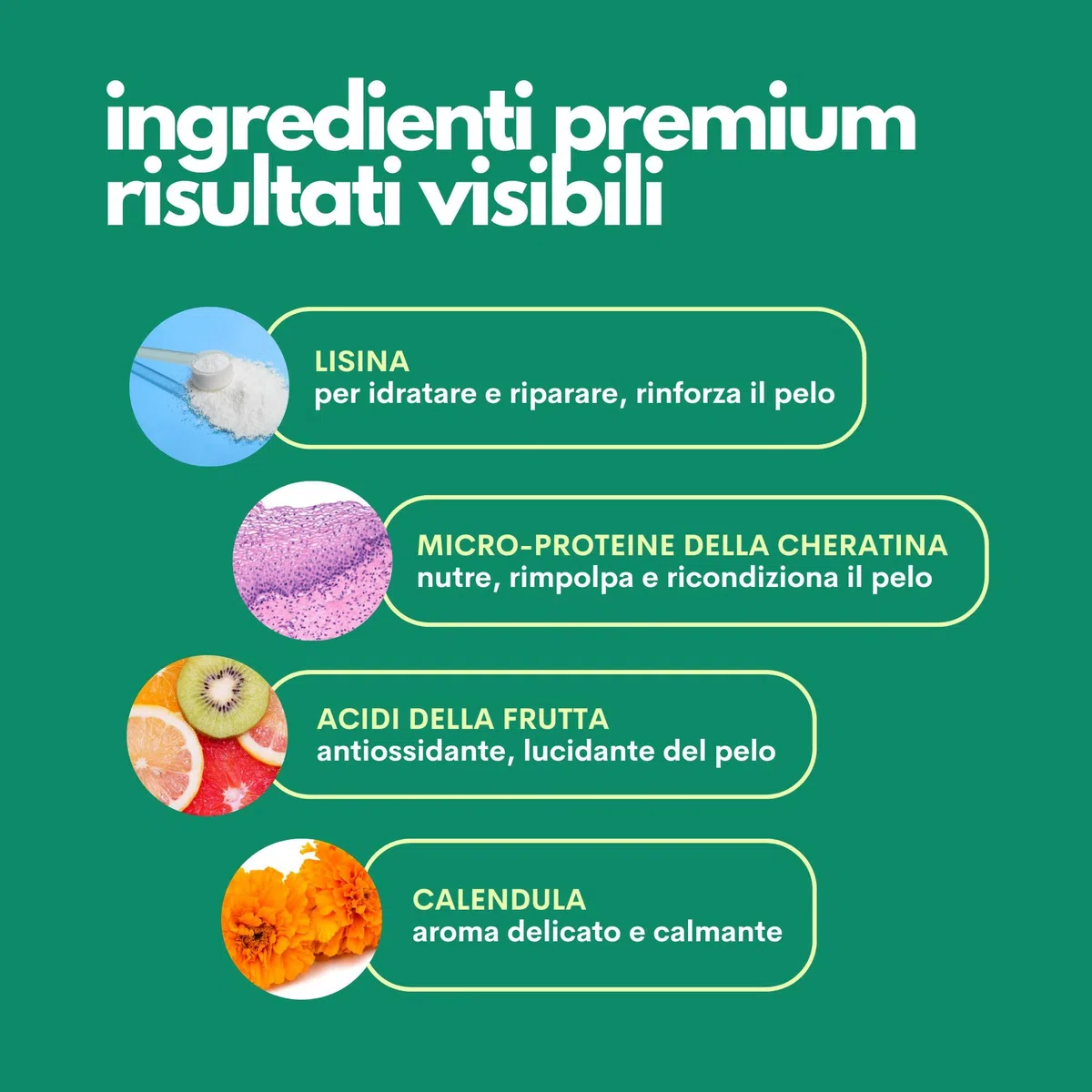 JAMPY Spray Districante Nutriente Per Cani. Scioglie i Nodi - Idrata - Rimpolpa - Lucida il Pelo. Formula Ipoallergenica con Cheratina, Lisina e Acidi della Frutta. 97% Naturale. Senza plastica.
