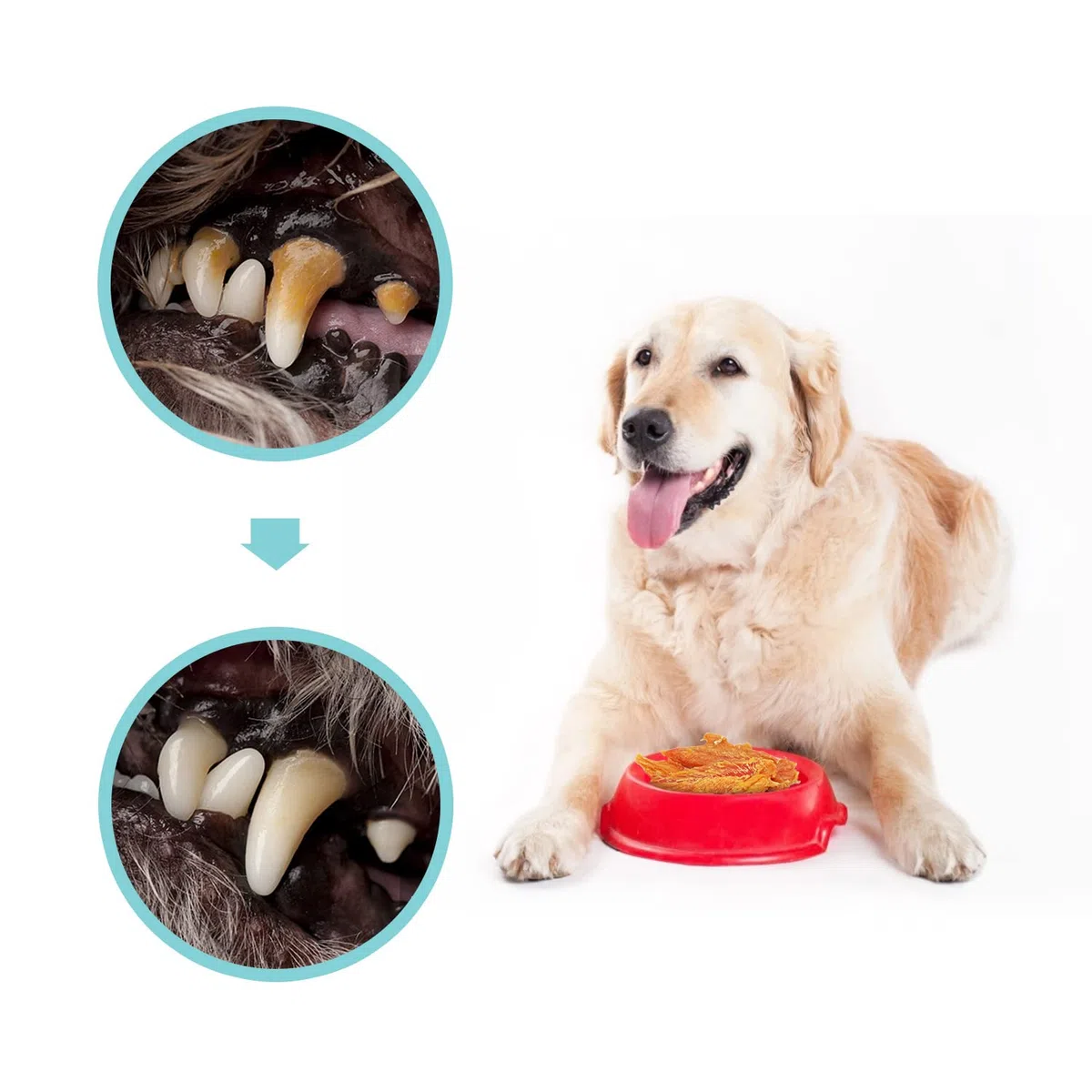 Nobleza - Dolci per cani, petto di pollo di alta qualità, carne secca naturale senza additivi, dolcetti per l'educazione dei cuccioli, confezione da 6, 600 g