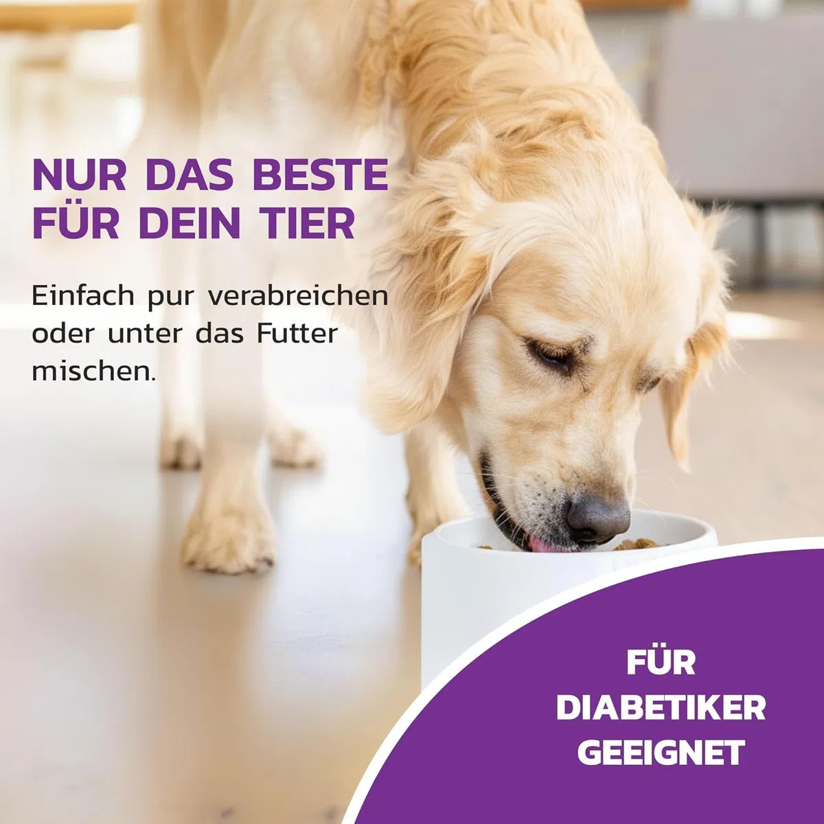 LiquidoCare Renal (180 ml) – Mangime complementare per cani e gatti – con verga d’oro, selenio, vitamine e acidi grassi omega – integrazione nutrizionale liquida