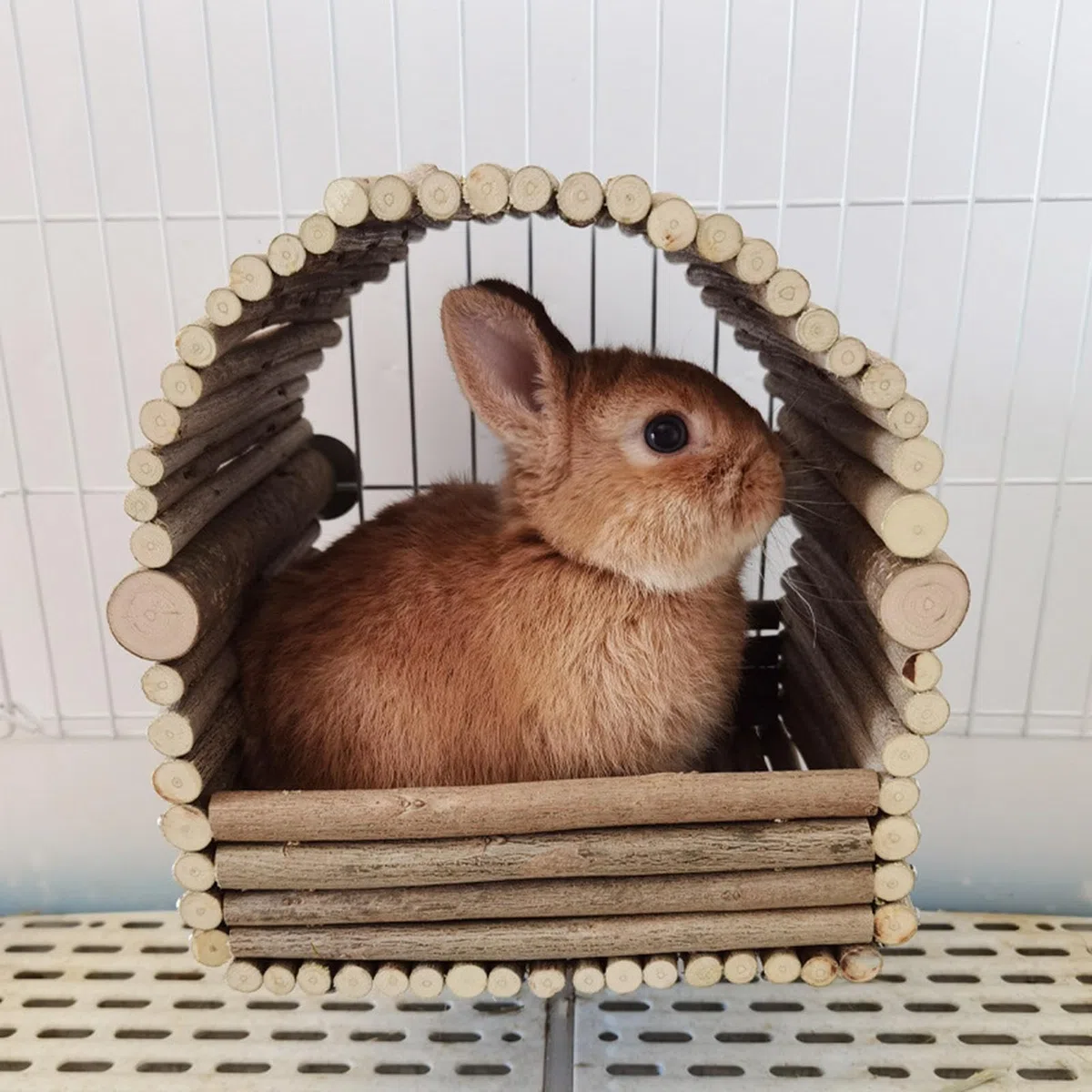 Nascondiglio per conigli in legno - rifugio per roditori in legno, nascondiglio rimovibile per digrignare i denti dei conigli | Casa per il riposo e il gioco degli animali per conigli, cincillà, crice
