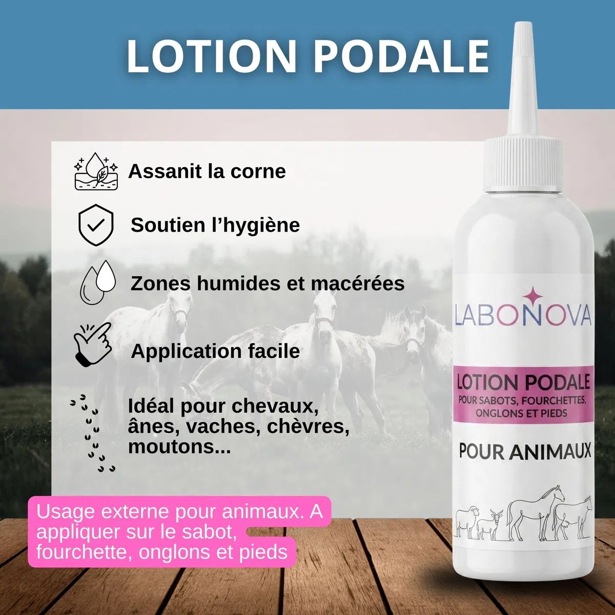 Lozione Podale Zoccoli, forchette e Unghiere con Solfato di Rame & Tea Tree – Cavalli, Asini, Mucche, Capre, Pecore