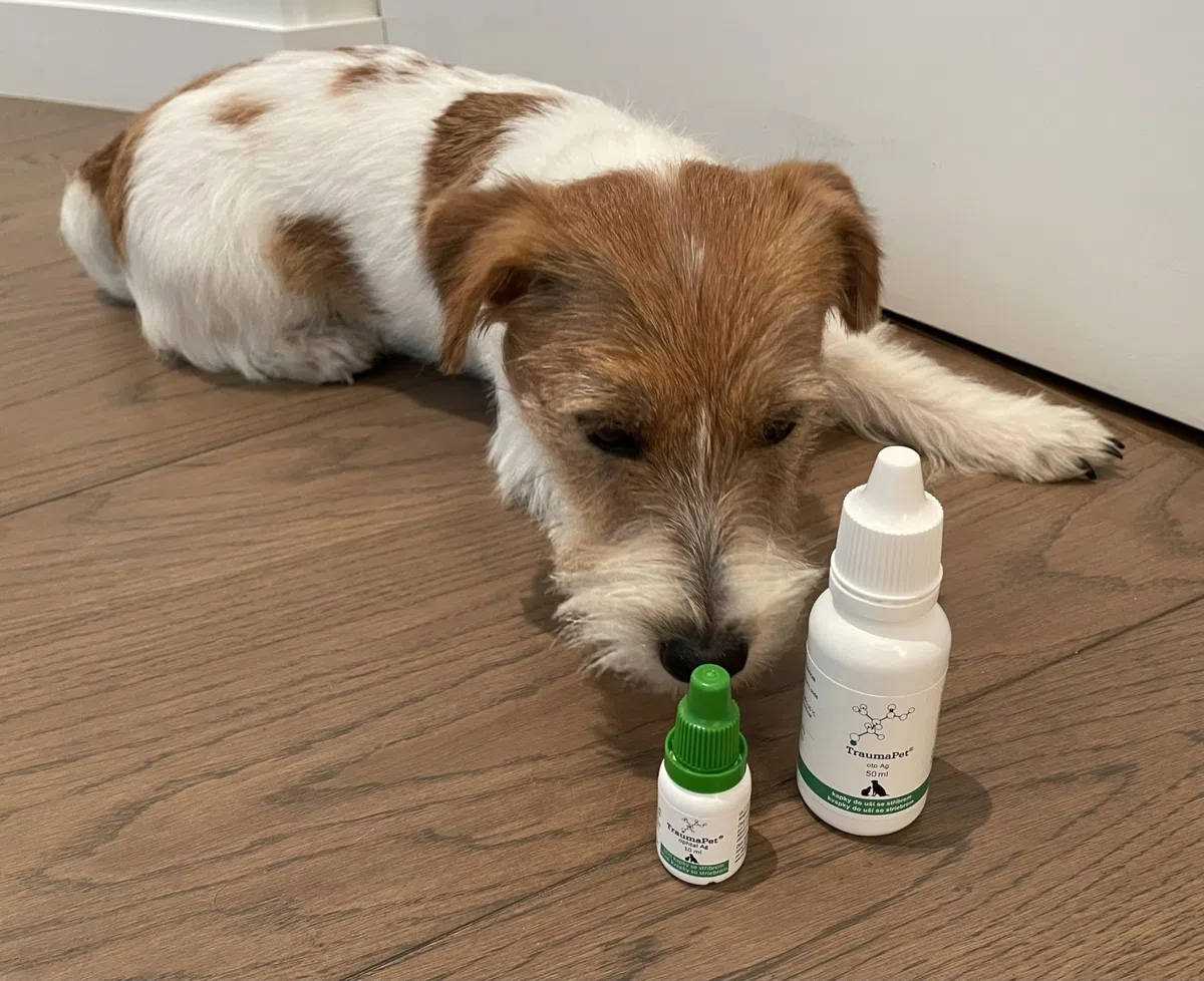 Generico Collirio Gocce per Gli Occhi: Ideale per Cani e Gatti con Argento Colloidale NanoComplex, Confezione 10ml | Cura e prevenzione
