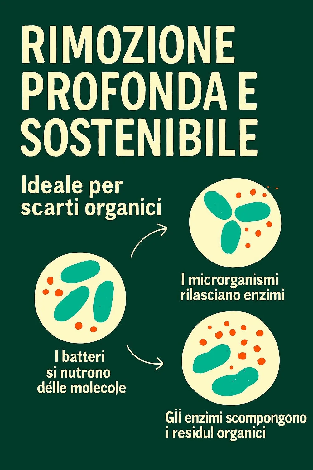 Elimina Odori Urina Cani Gatti Bio + Igienizzante (15% Sconto)