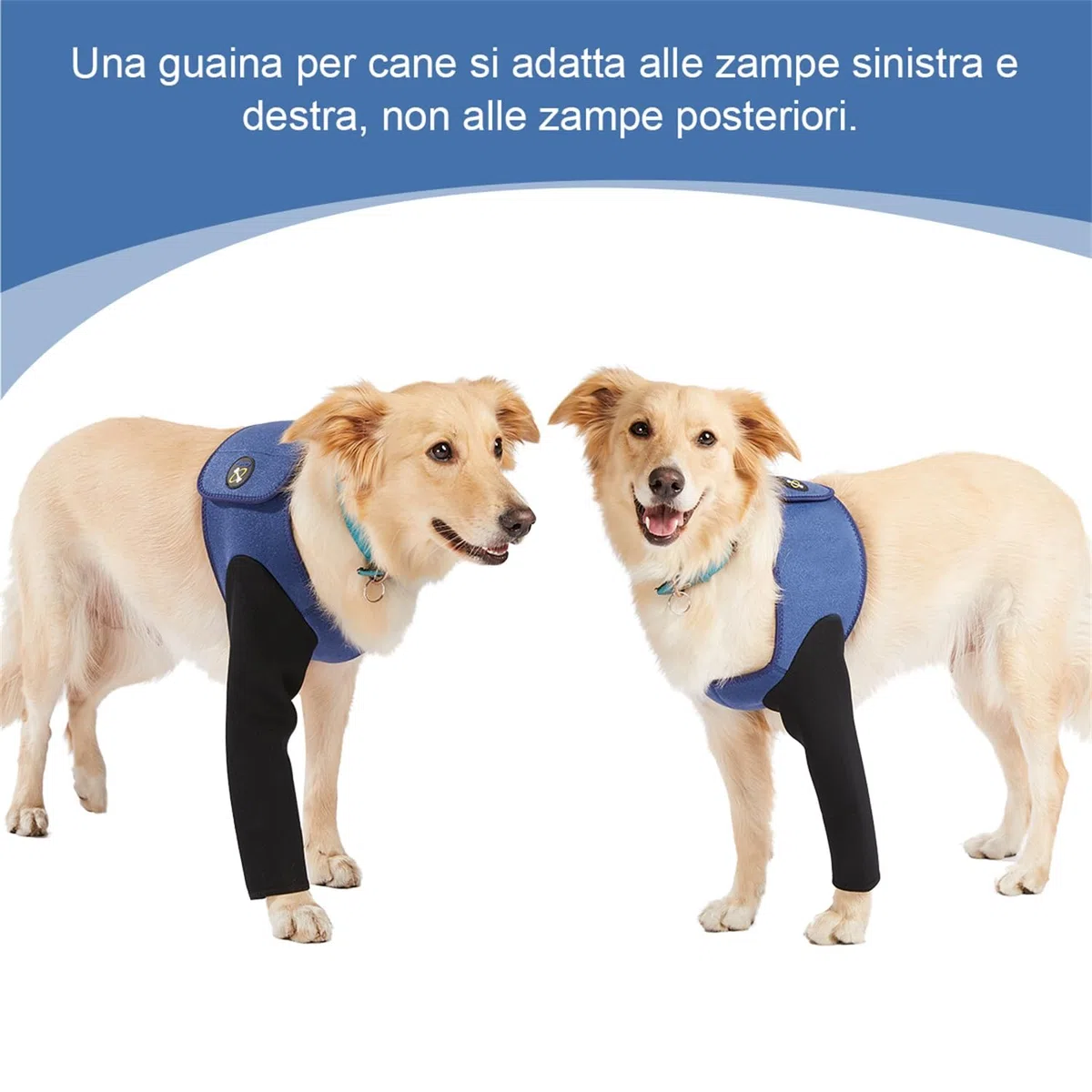 Coodeo Costume di Recupero per Cani, Alternativa al Collare a Cono, Manica Resistente per Solo le Zampette Anteriori, Lavabile e Impermeabile, Previene Leccate e Morsi, Mantiene Asciutto. (Blu, XL)