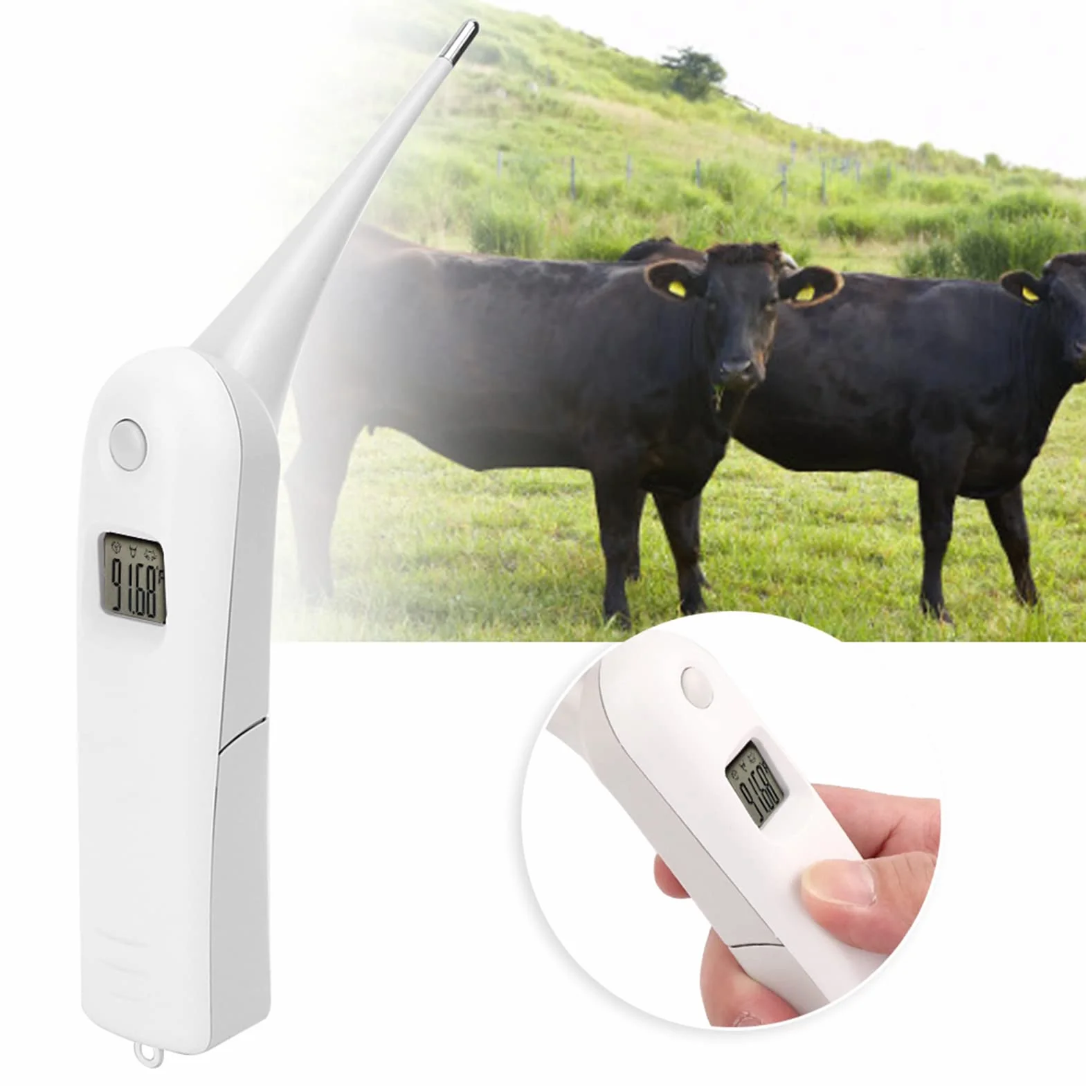 Tiiyee Termometro Per Animali Domestici, Digitale Domestici Gatti Acolari Cani Forniture Tecnologiche Veterinari Febbre Proprietari Cavalli Sonda Temperatura Flessibile Con Punta Tonda Impermeabile