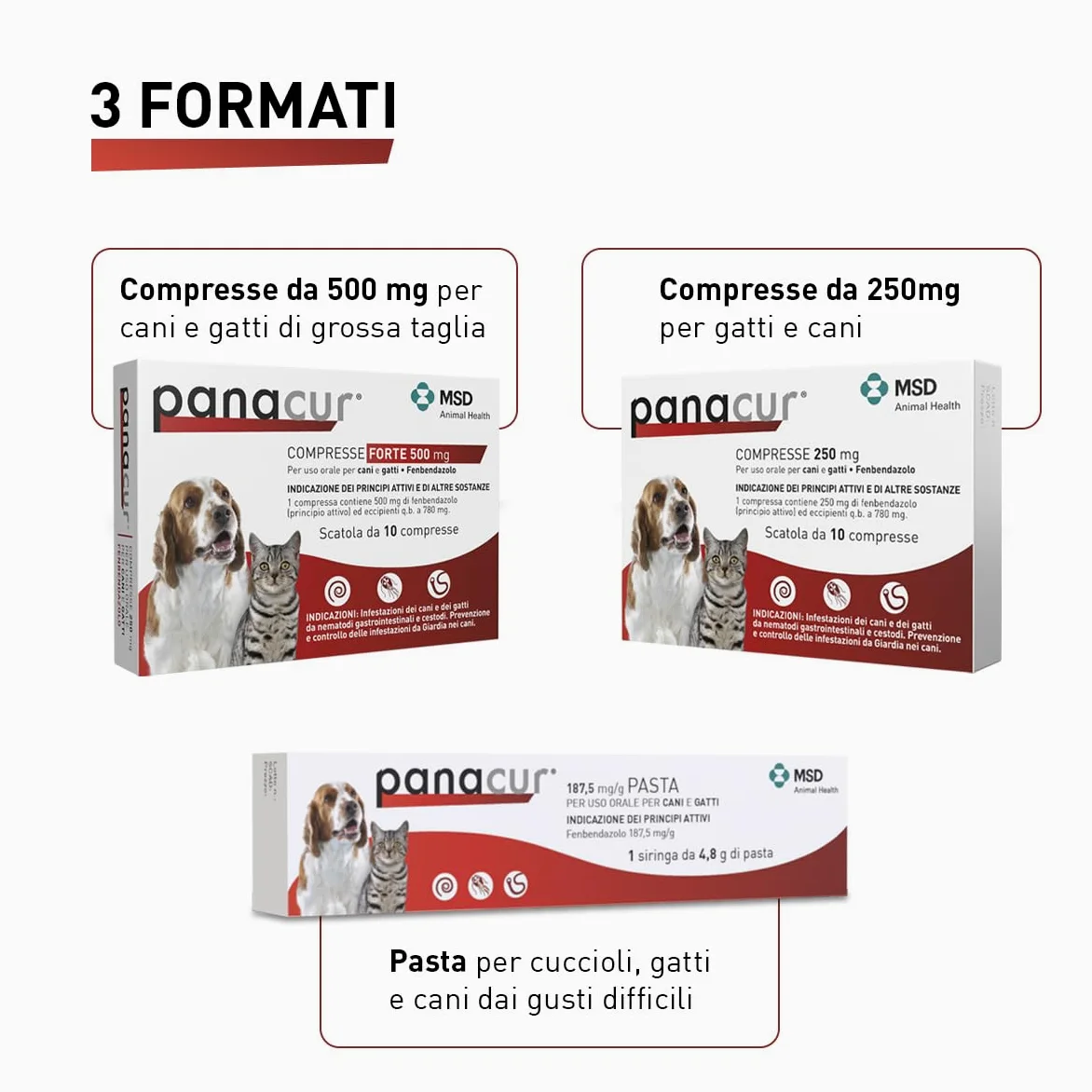 Panacur Pasta - Vermifugo Per Cani E Gatti, Libera da Giardia, Vermi Tondi e Vermi Piatti. Per Cani E Gatti Dai Gusti Difficile