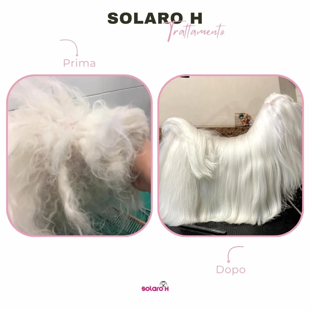 Solaro H | Sciogli Nodi per Cani e Gatti Super Flash Gold Istantaneo, Districante, Senza Risciacquo 250ml | Made in Italy