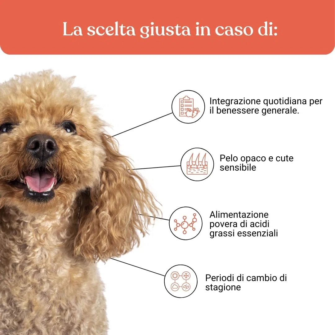 Bau Olio di Salmone per Cani Adulti con Semi di Lino ed Enotera – Omega 3 e 6 Naturali – Supporto per Pelle, Pelo Lucido e Vitalità – Integratore Liquido per Cani - Adulti