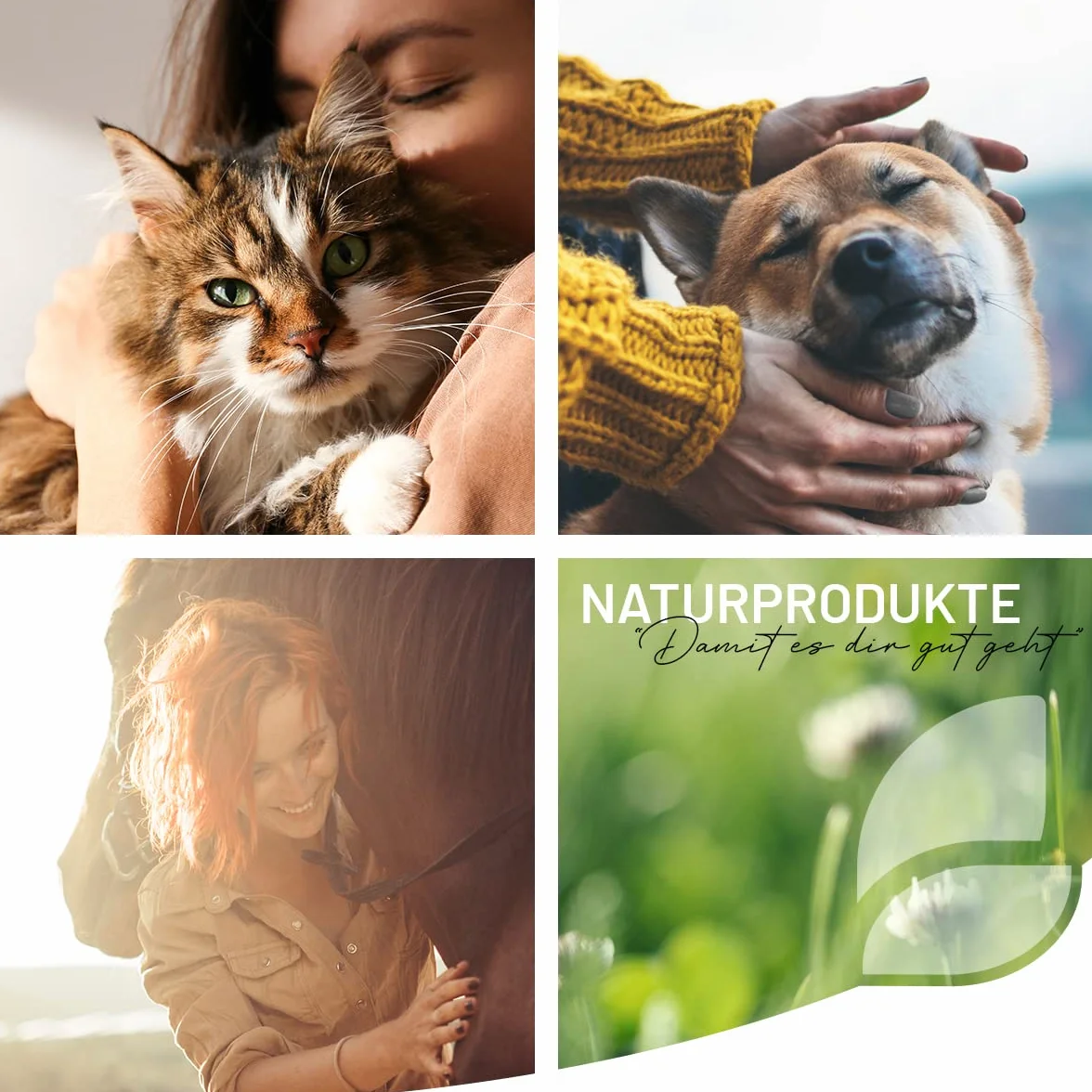 ReaVET Polvere di rosa canina per cani 250 g – Puro naturale di qualità premium, rafforza il sistema immunitario + funzione articolare, ricca di vitamina C I rosa canina polvere per cani e gatti,