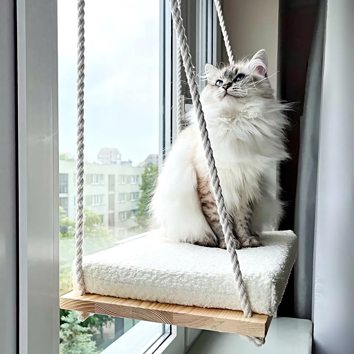 Amaca per Gatti da Finestra | Amaca per Gatti | Cucce per Gatto da Interno | Amaca da Finestra per Gatto | Amaca Finestra con Ventose Resistenti 18 kg Lavabile | Cat Bed | Cat window hammock mirador
