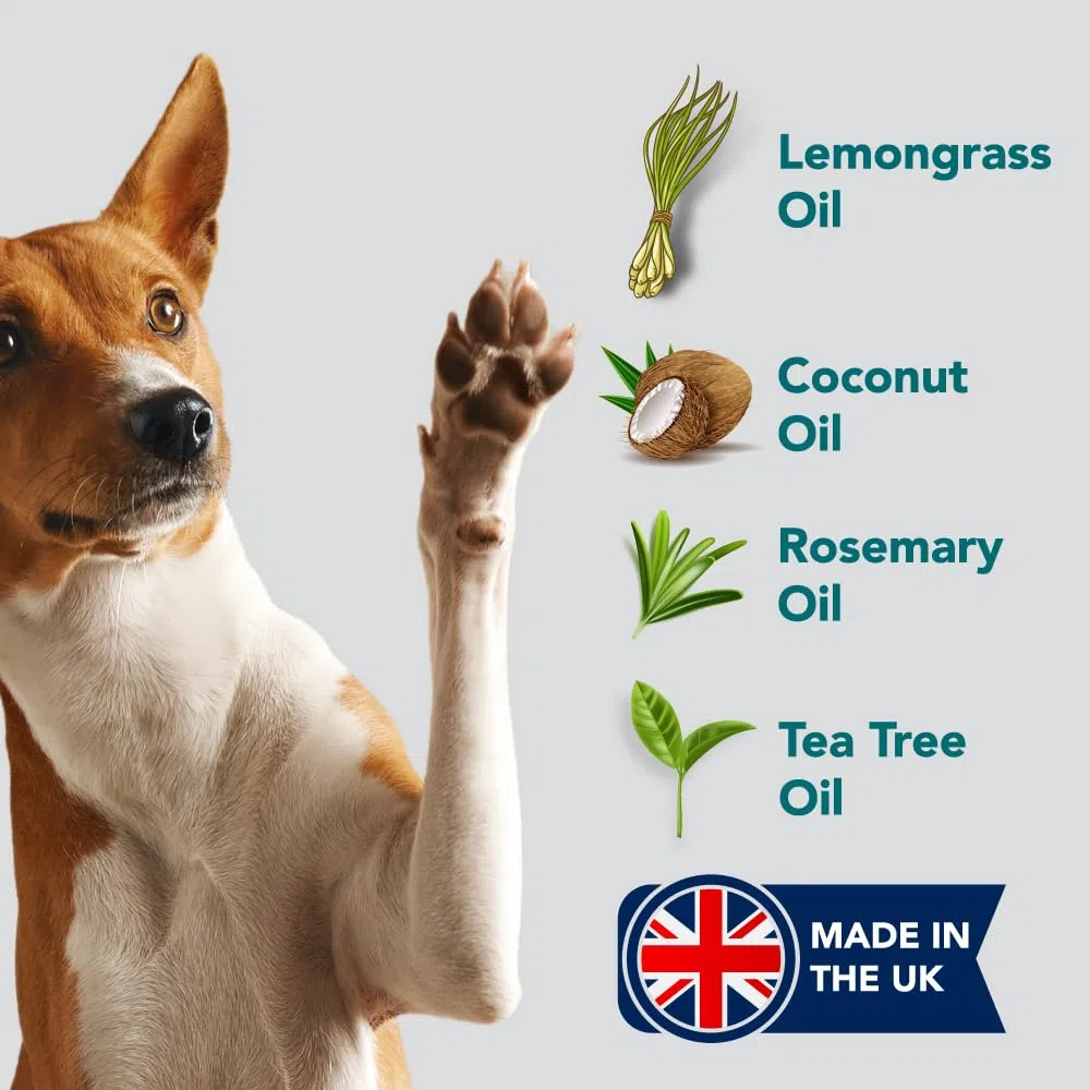 Tutto Naturale Spray Per Casa E Ambiente | 500ml | Sicuro per Cani e Gatti | Spray Repellente Perfetto per Tappeti, Letti, Mobili e in Auto